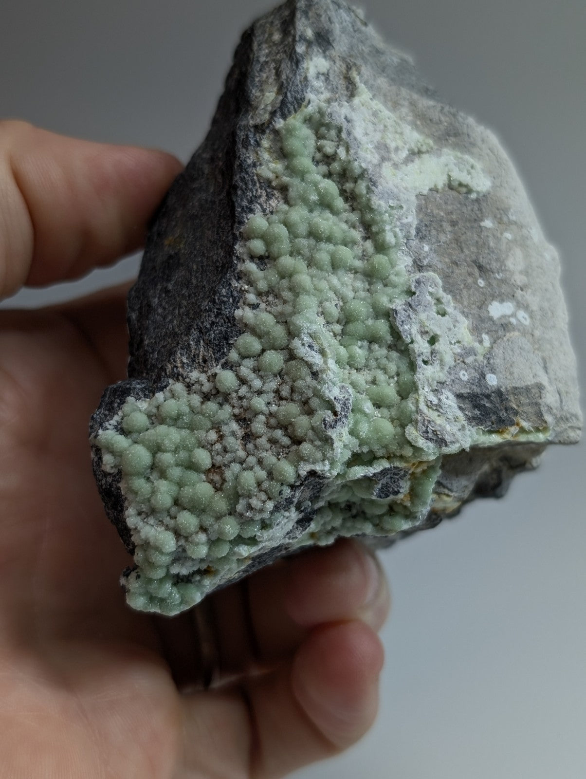 A hand holds a dark gray rock specimen featuring clusters of light green, bead-like mineral formations.