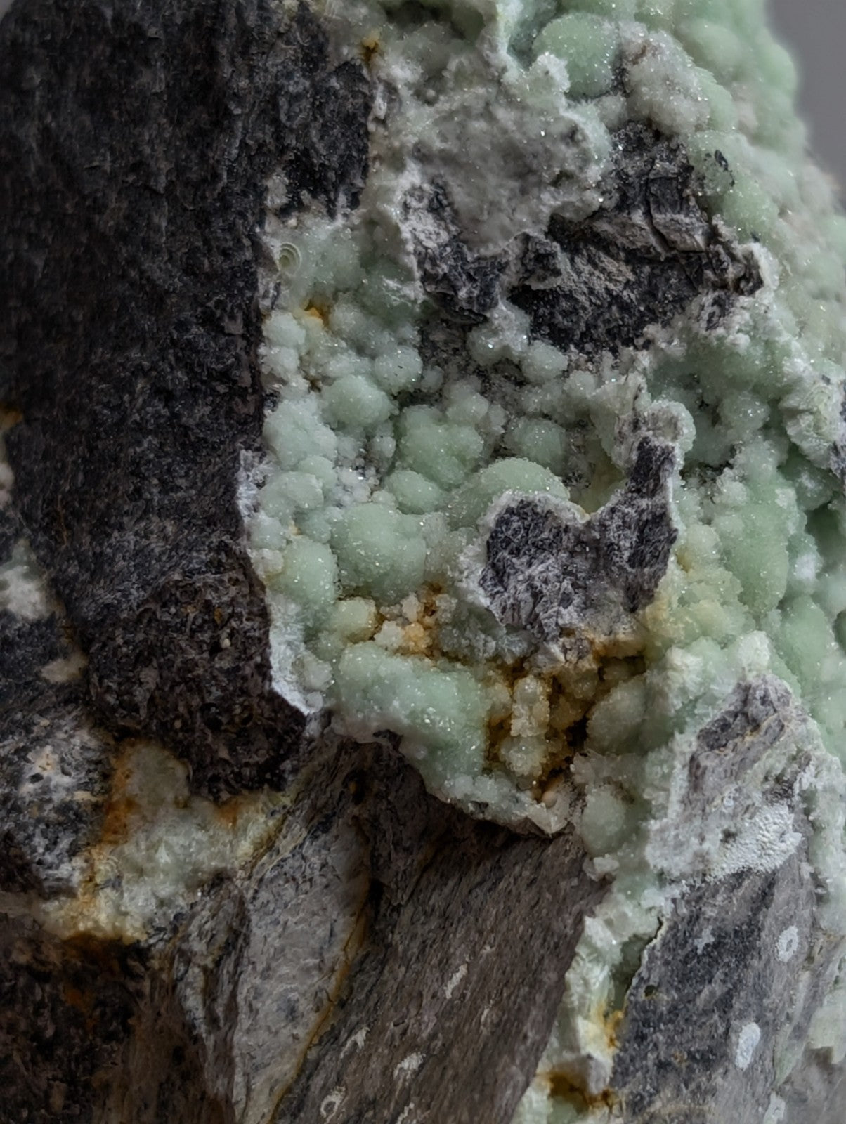 A cluster of pale green, crystalline minerals growing on a dark gray rock matrix.