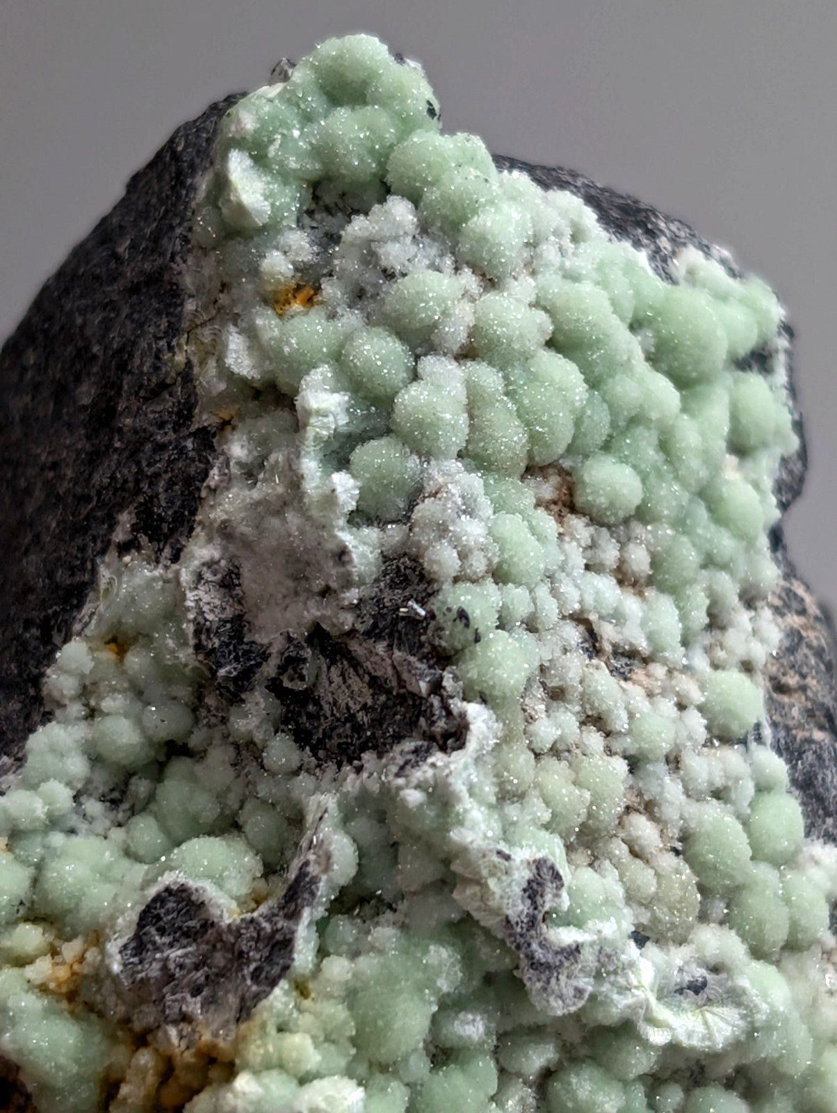 A cluster of light green, bead-like crystals growing on a dark rock matrix.