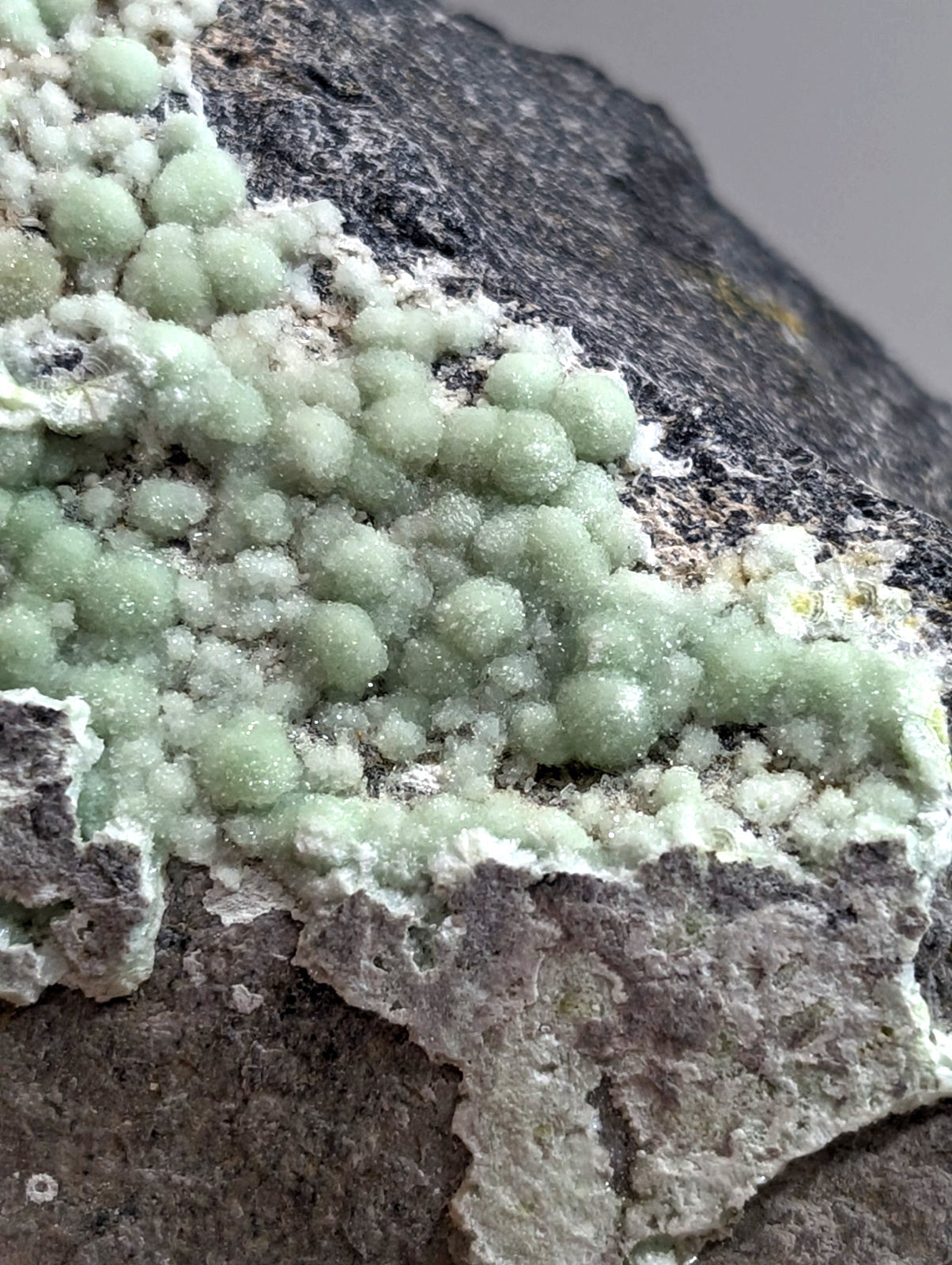 A cluster of pale green, spherical crystals growing on a dark gray rock surface.