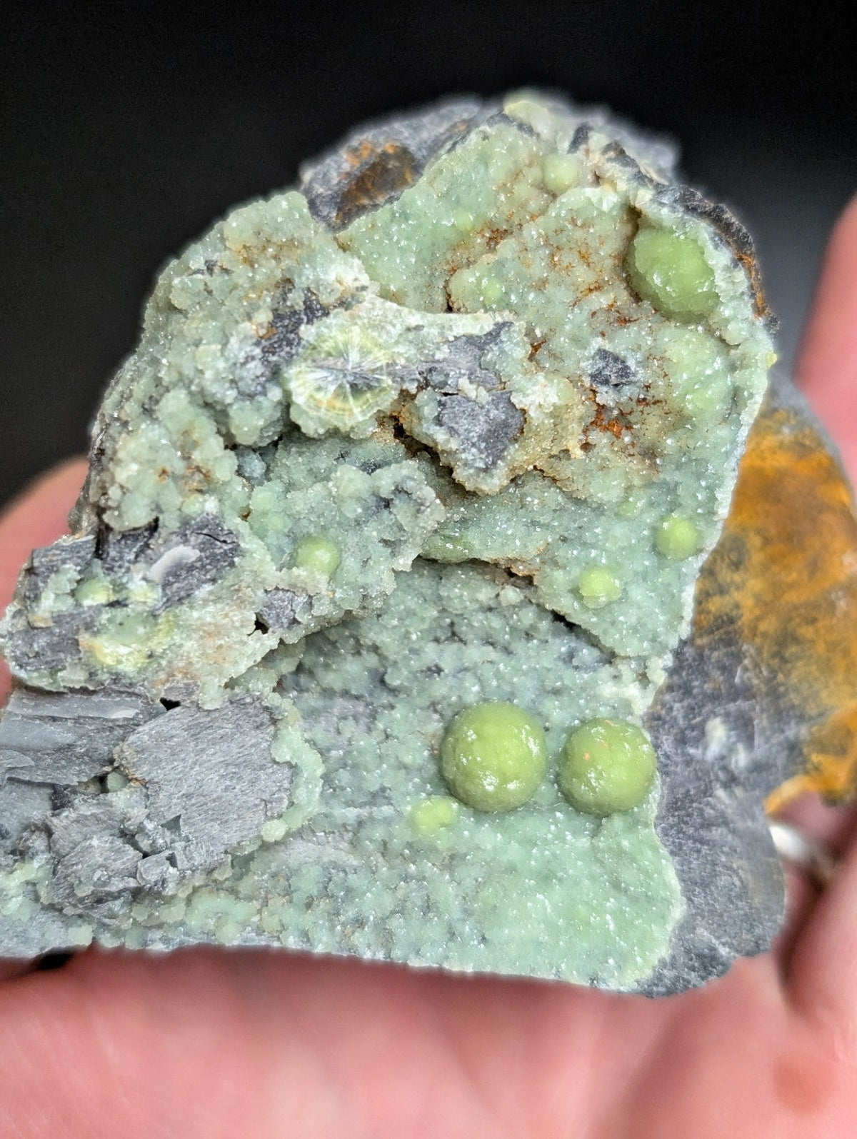 A hand holds a geological specimen featuring vibrant green, spherical crystals embedded in a textured matrix of gray rock.