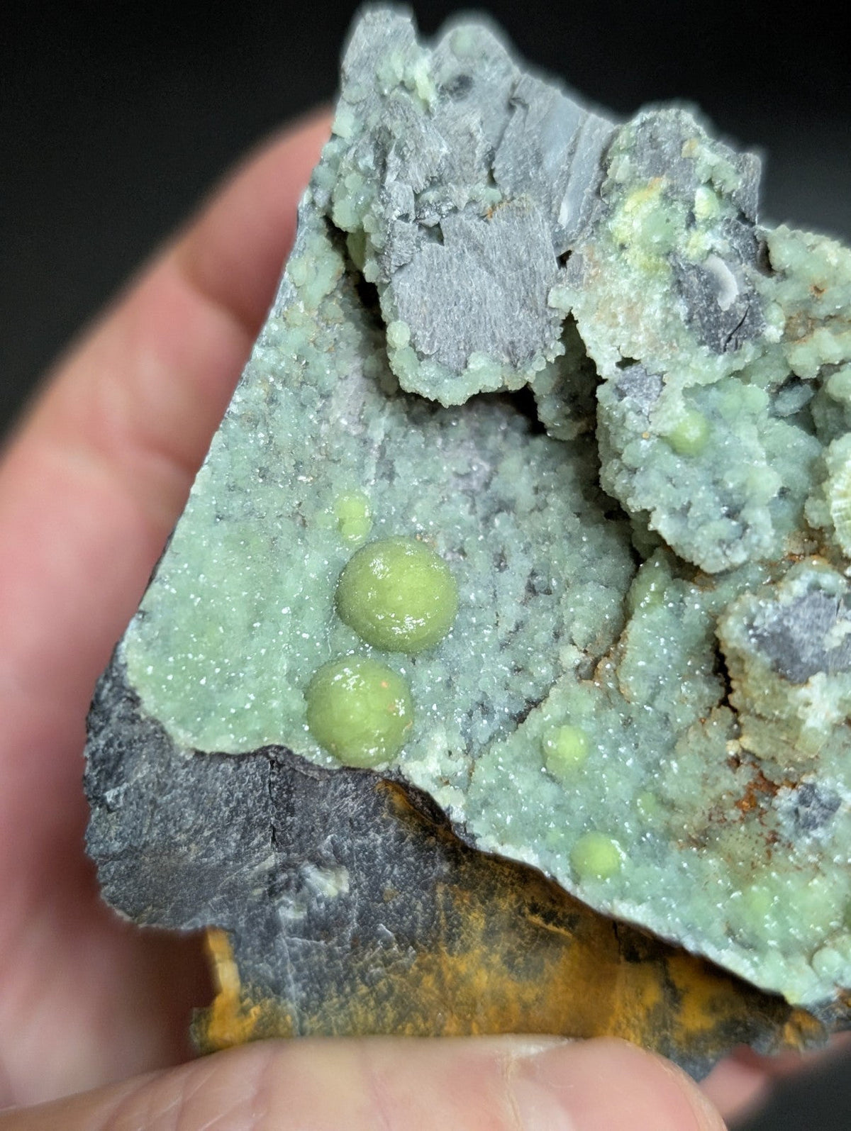 A hand holds a mineral specimen featuring light green, rounded nodules embedded in a textured matrix of gray and pale green crystalline rock.