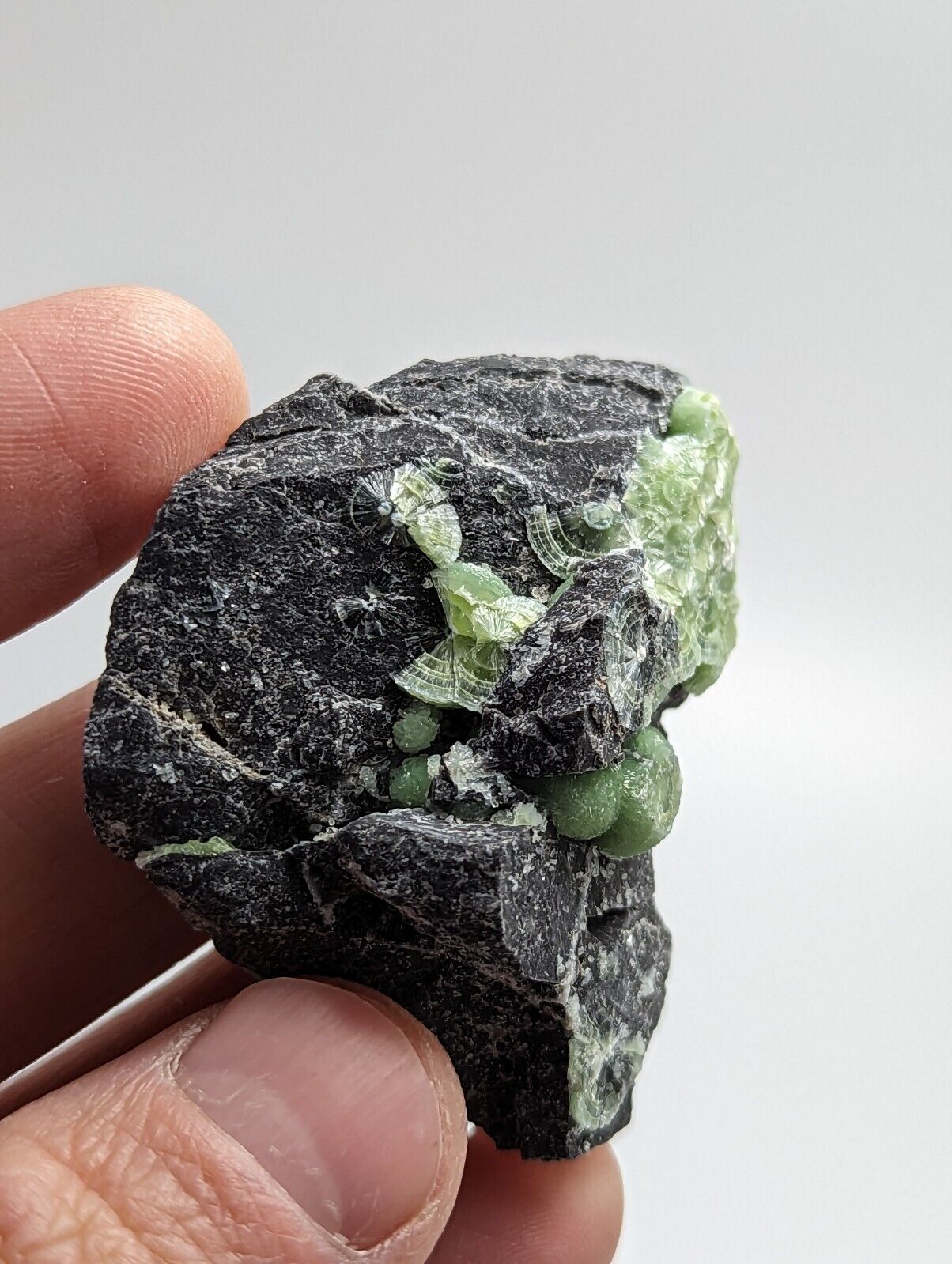 Green Wavellite - Fantastic 1990s Old Stock - Mauldin Mountain Arkansas - Collectibles:Rocks Fossils &