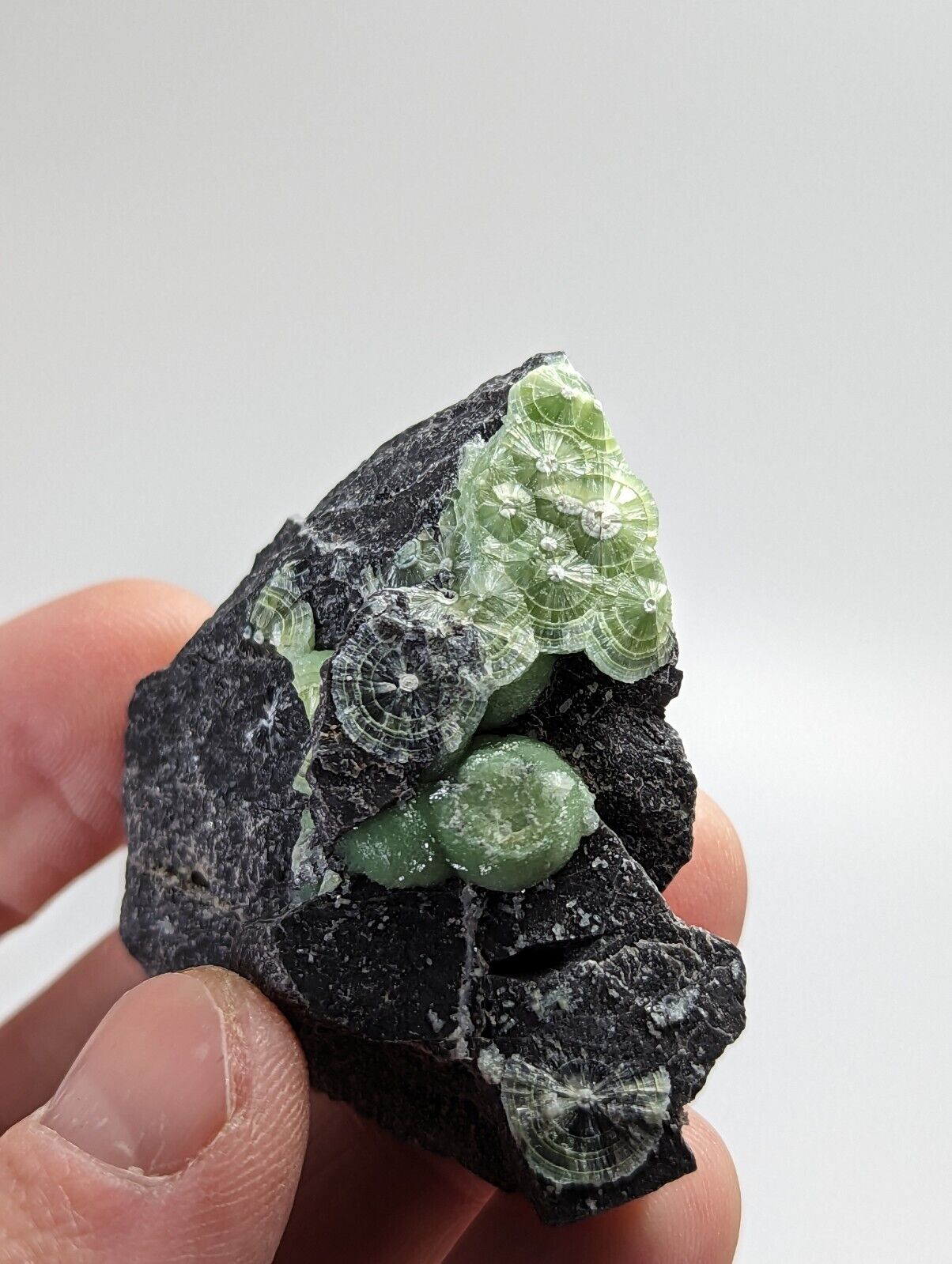 Green Wavellite - Fantastic 1990s Old Stock - Mauldin Mountain Arkansas - Collectibles:Rocks Fossils &