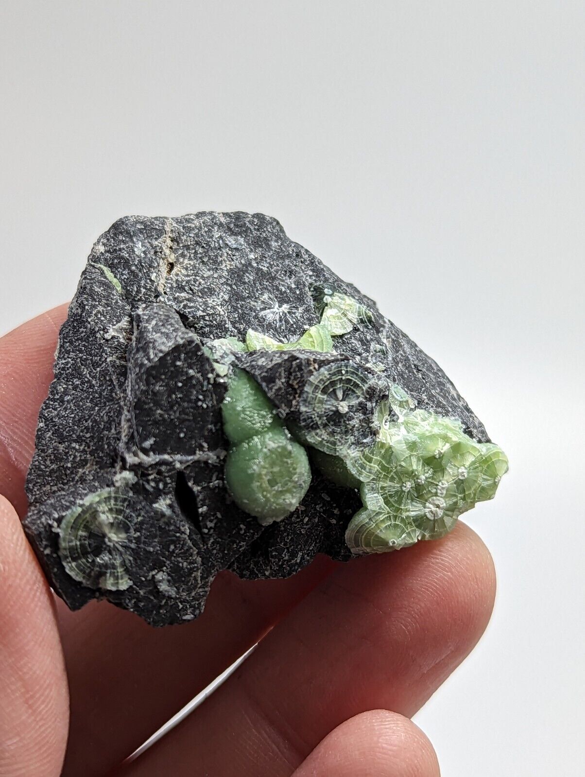 Green Wavellite - Fantastic 1990s Old Stock - Mauldin Mountain Arkansas - Collectibles:Rocks Fossils &