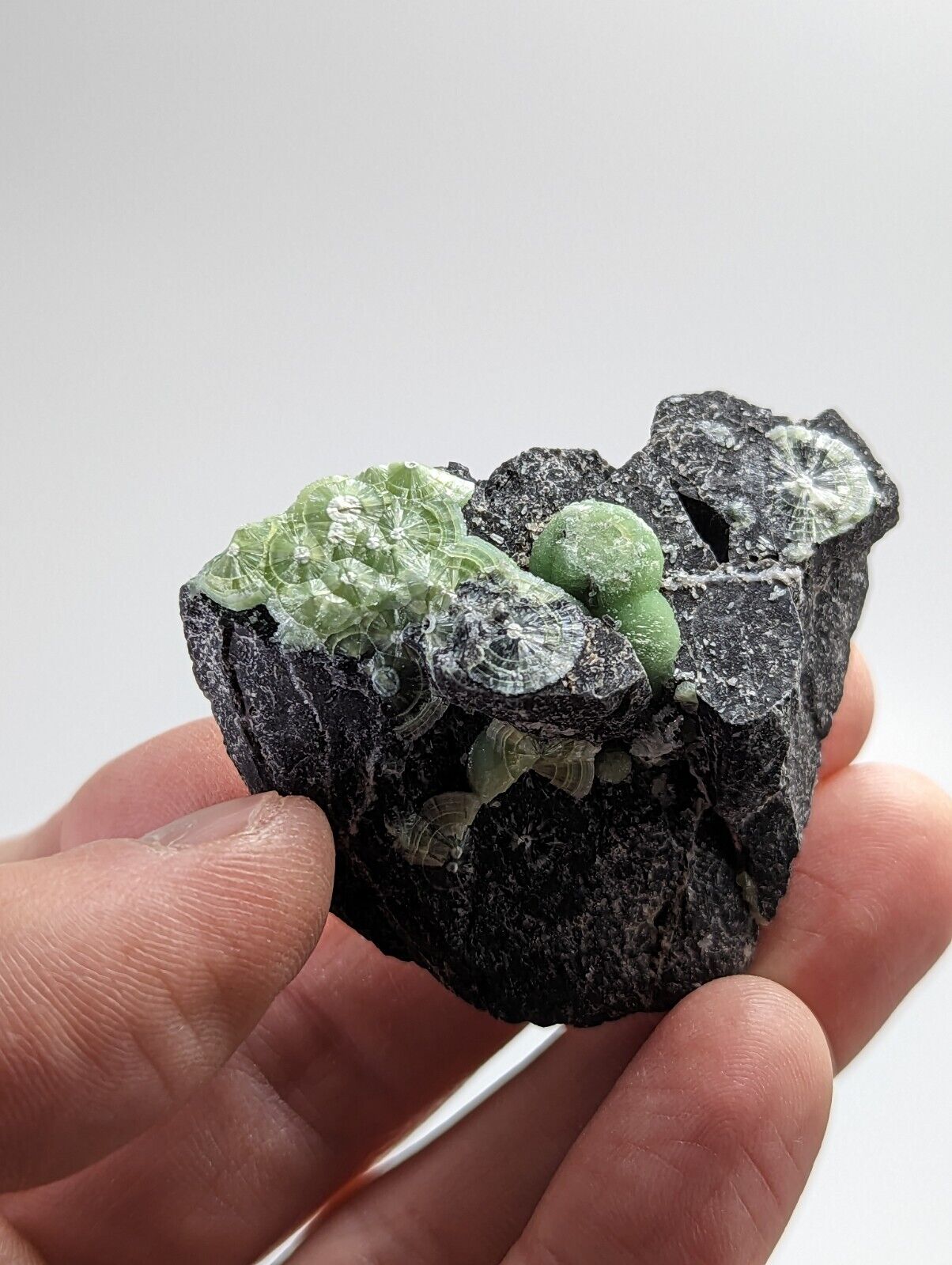 Green Wavellite - Fantastic 1990s Old Stock - Mauldin Mountain Arkansas - Collectibles:Rocks Fossils &