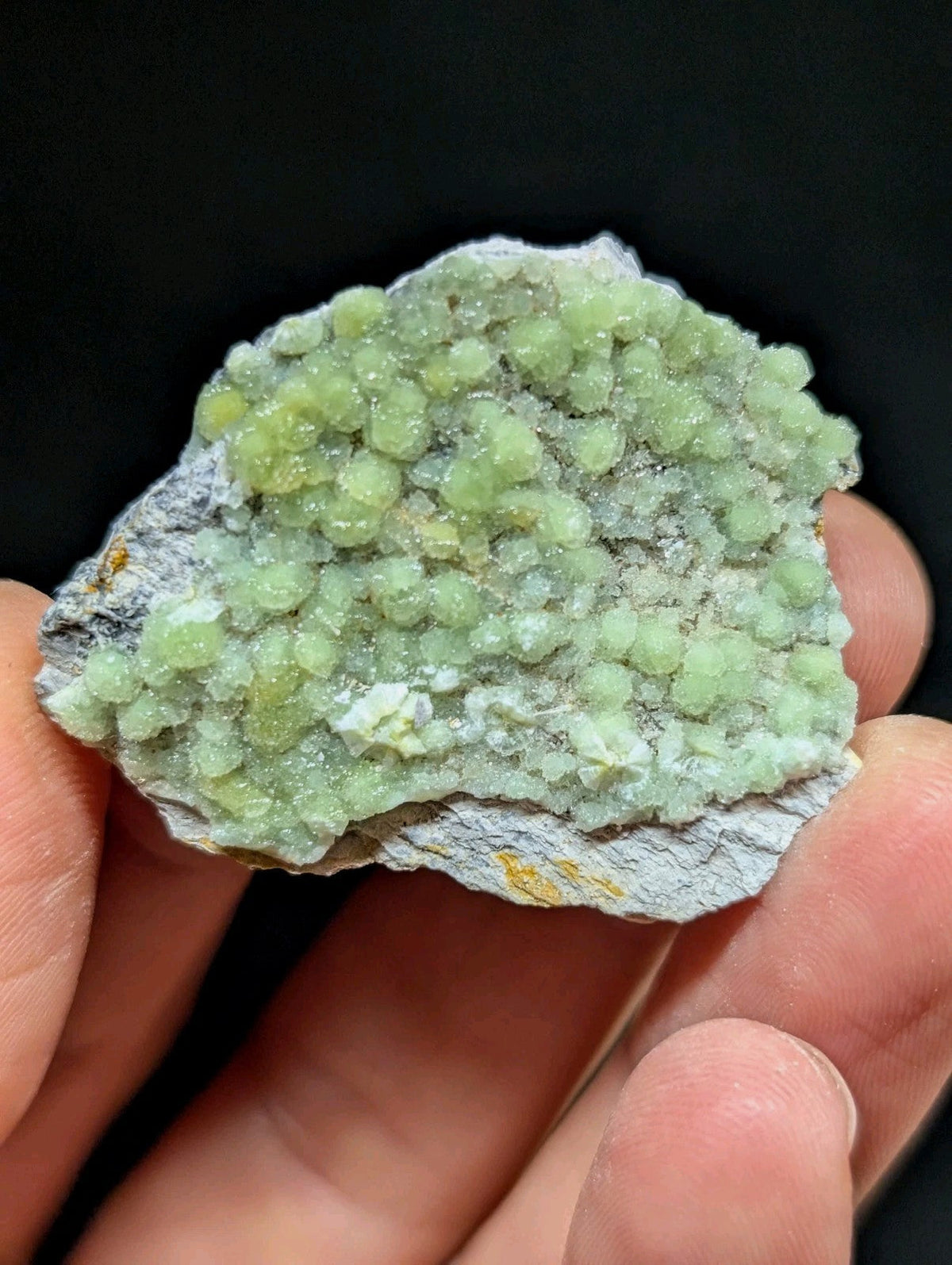 A hand holds a light green, crystalline mineral specimen with rounded, bead-like formations growing from a grayish rock base.