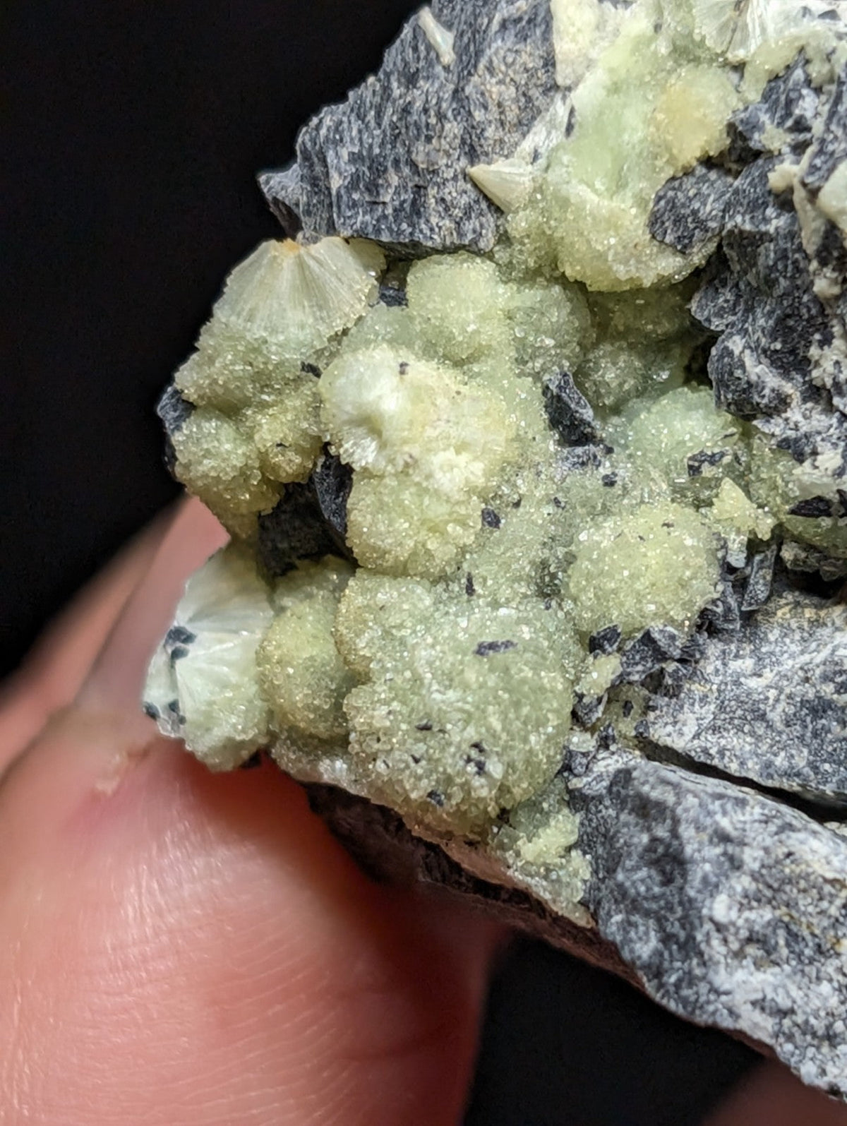 A cluster of pale green, crystalline mineral formations nestled within a dark gray rock matrix.