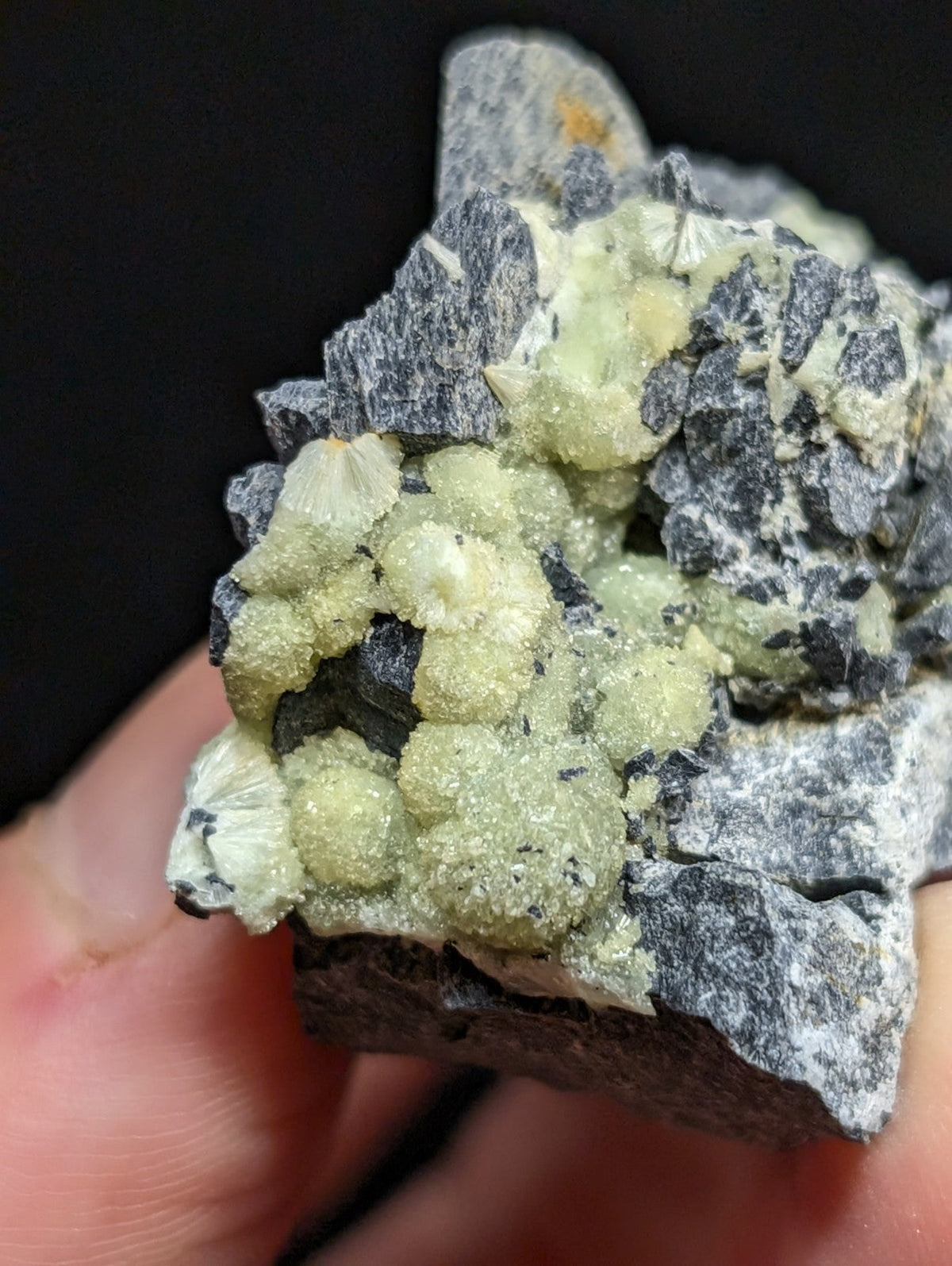 A cluster of pale green, crystalline minerals growing from a dark gray rock matrix.
