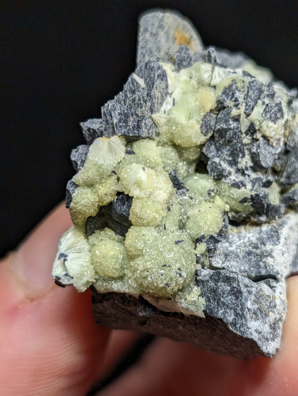 A cluster of pale green, crystalline minerals growing from a dark gray rock matrix.