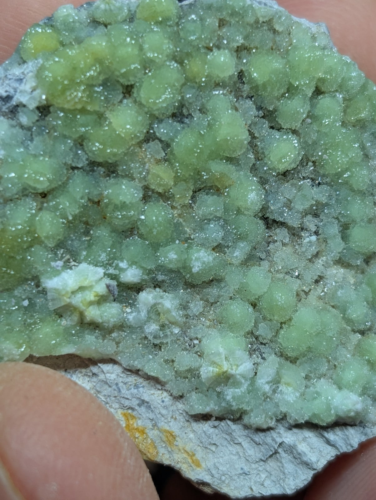 A cluster of translucent green crystals growing from a gray rock base.