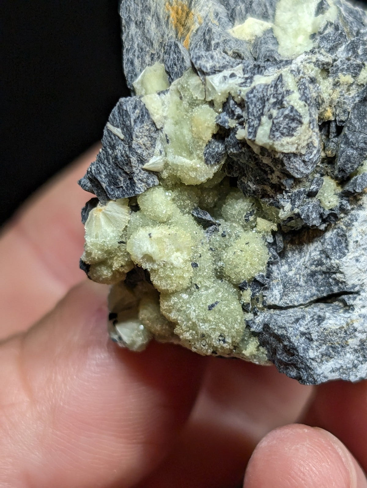 A hand holds a geological specimen featuring clusters of pale green, crystalline minerals growing from dark gray rock.