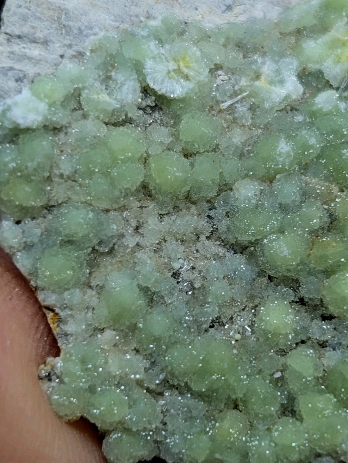 A cluster of translucent green, crystalline formations with a slightly rough texture and embedded white specks.
