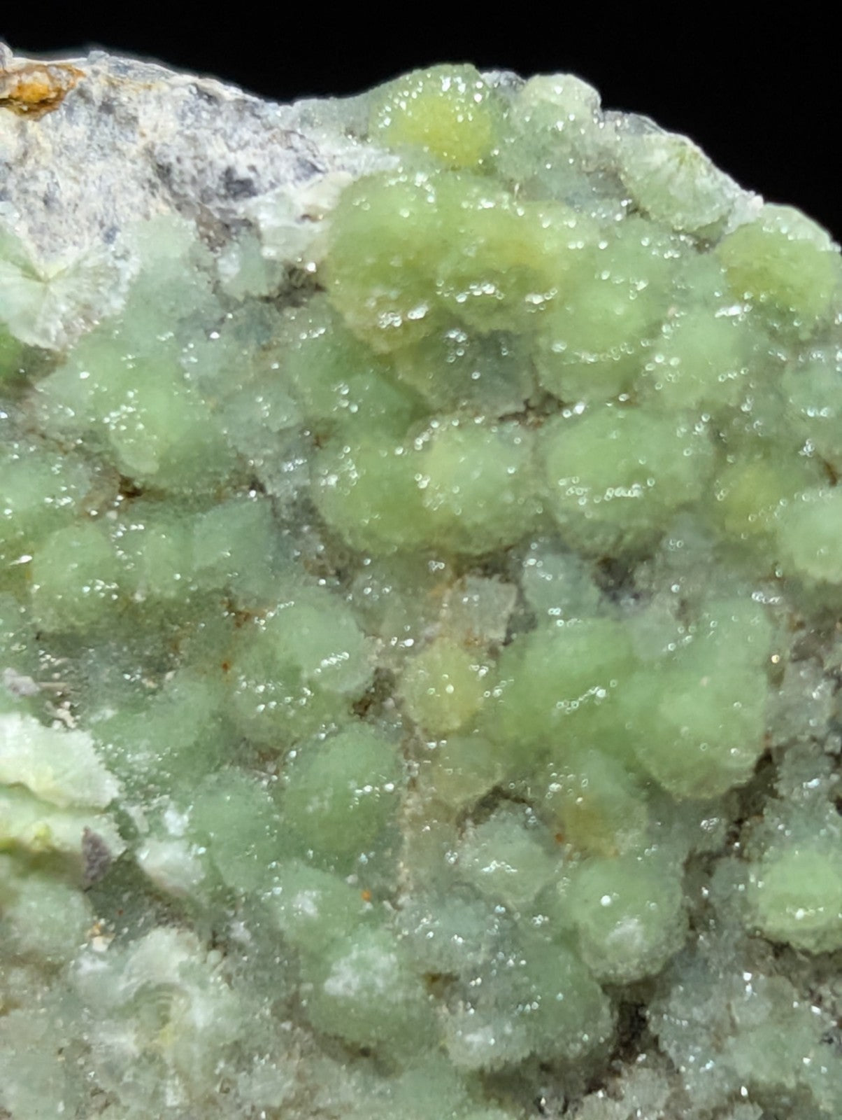 A cluster of translucent, pale green crystalline formations growing from a rougher grayish matrix.