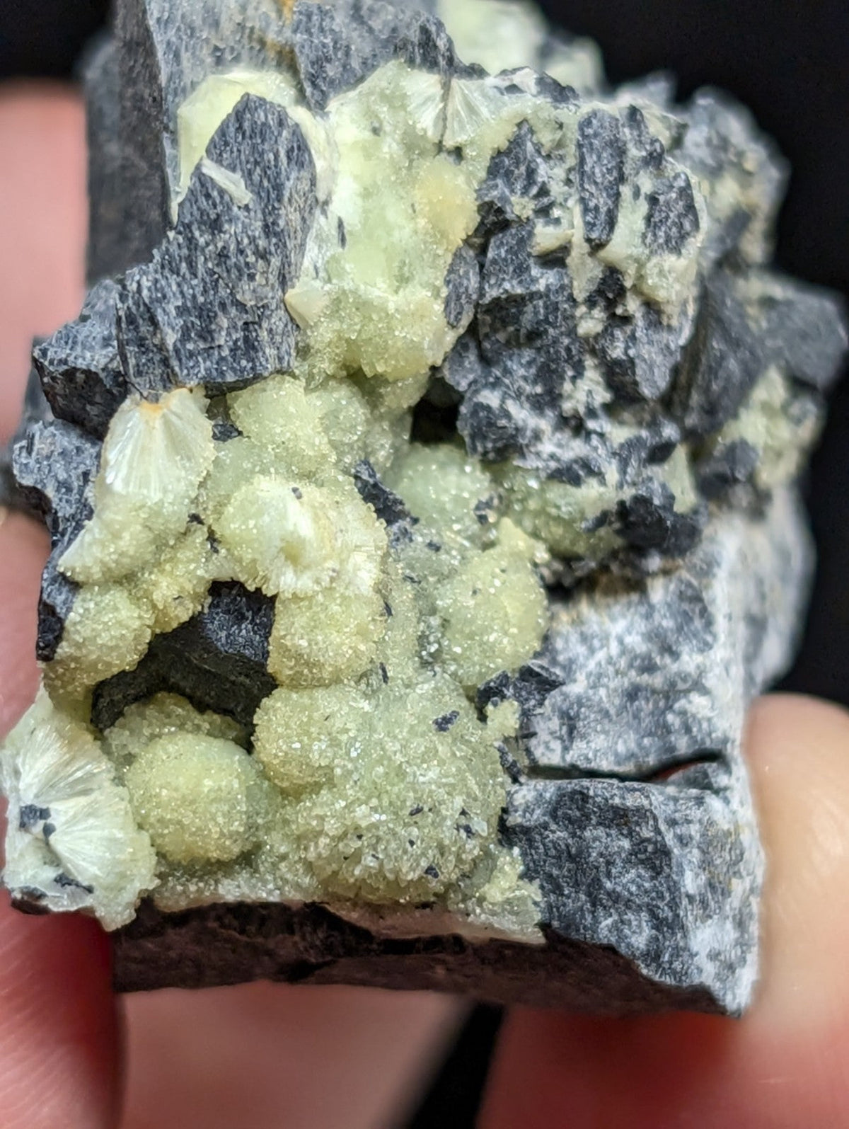 A cluster of pale green, translucent crystals growing from a dark gray rock matrix.