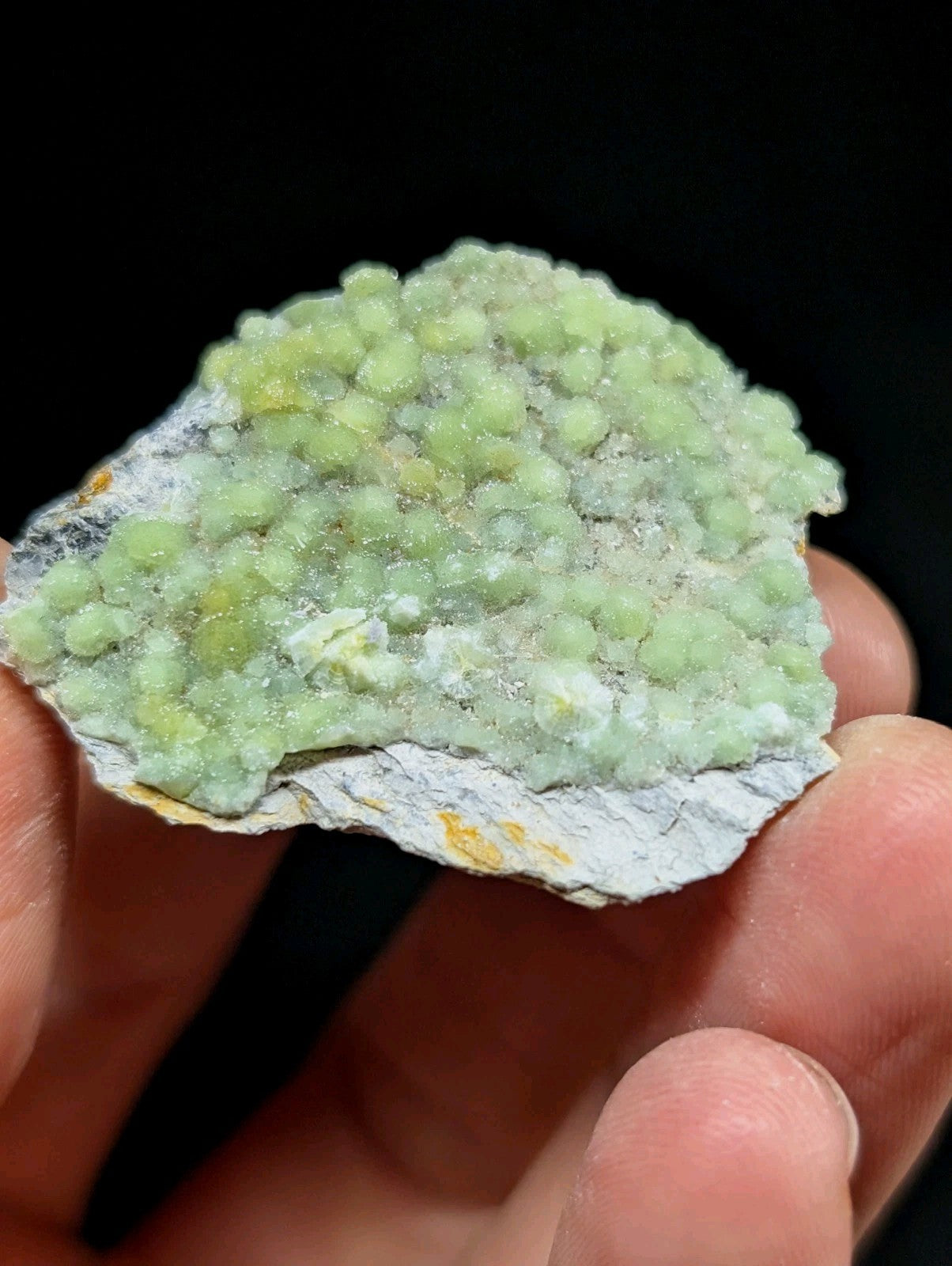 A hand holds a light green, bumpy mineral specimen with small rounded crystals growing on a grayish-white rock base.