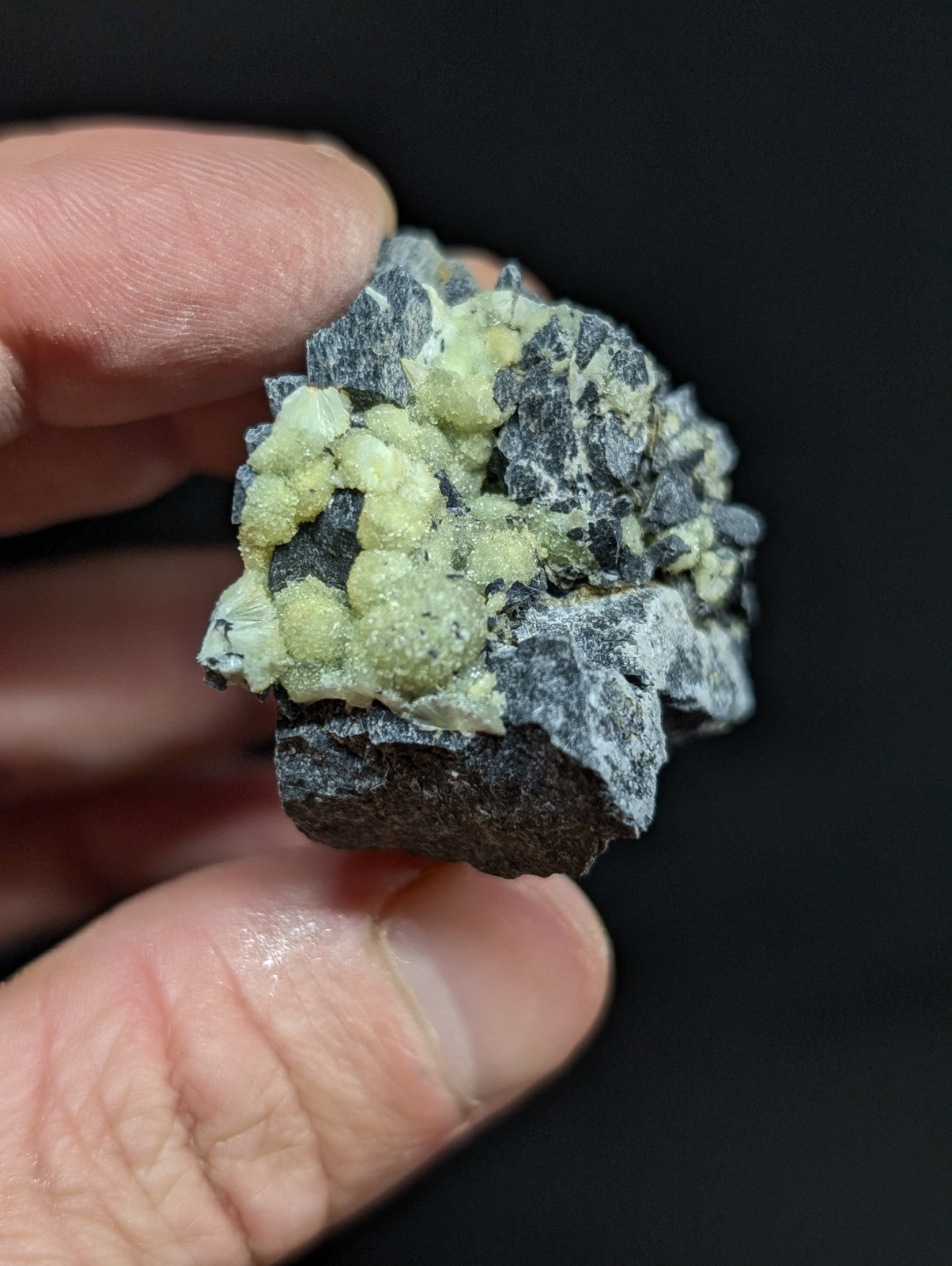 A hand holds a dark gray rock specimen featuring clusters of pale green, crystalline formations.