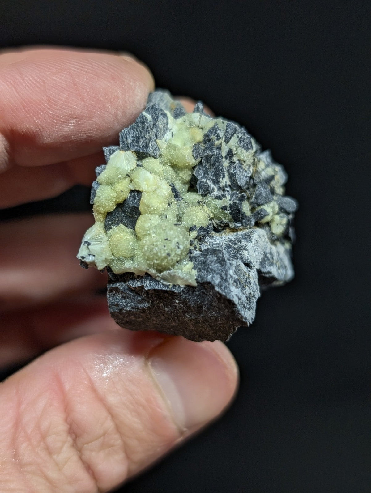 A hand holds a dark gray rock specimen featuring clusters of pale green, crystalline formations.