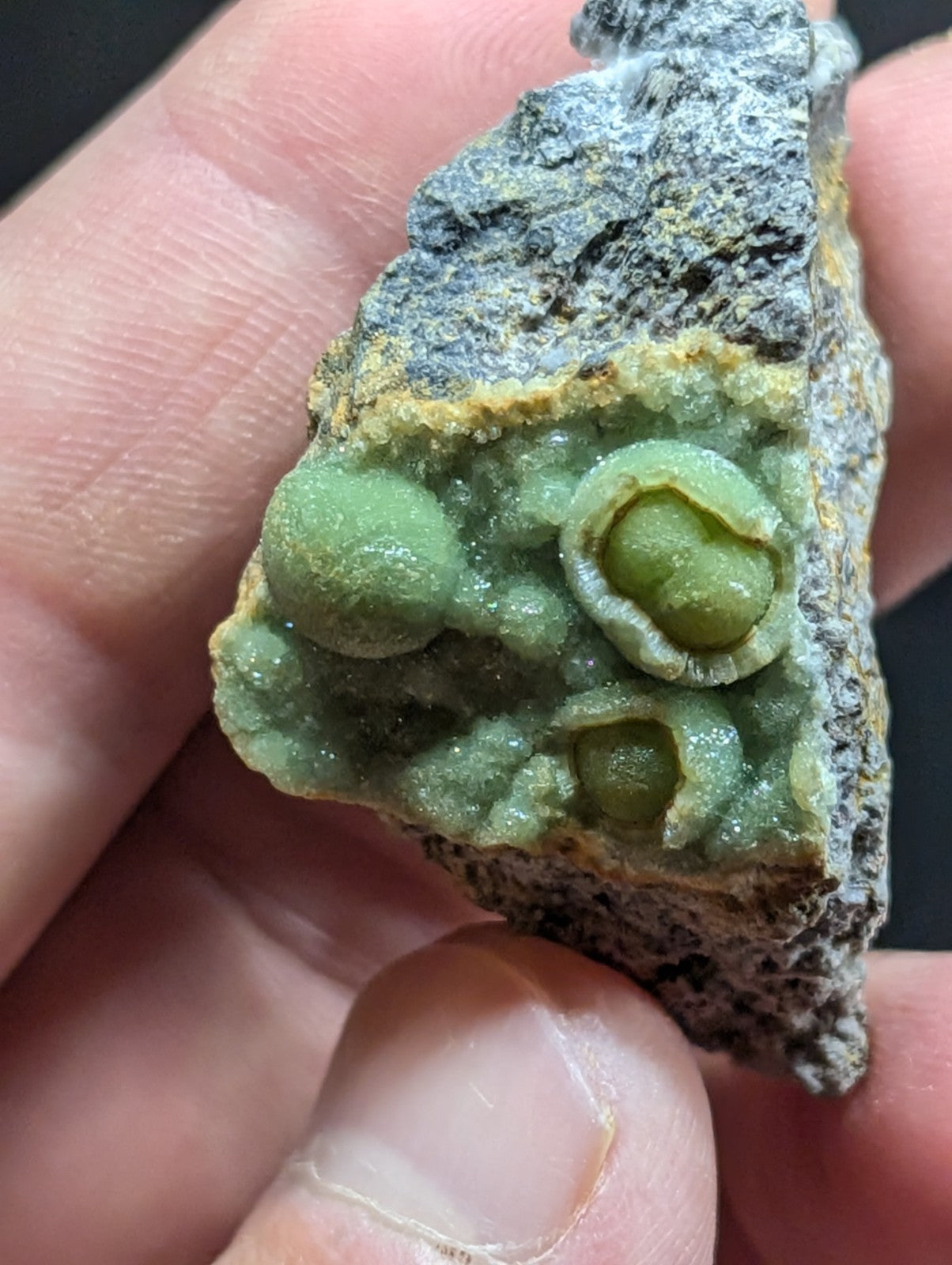 A hand holds a piece of green mineral with rounded, bulbous formations embedded in a grayish rock matrix.
