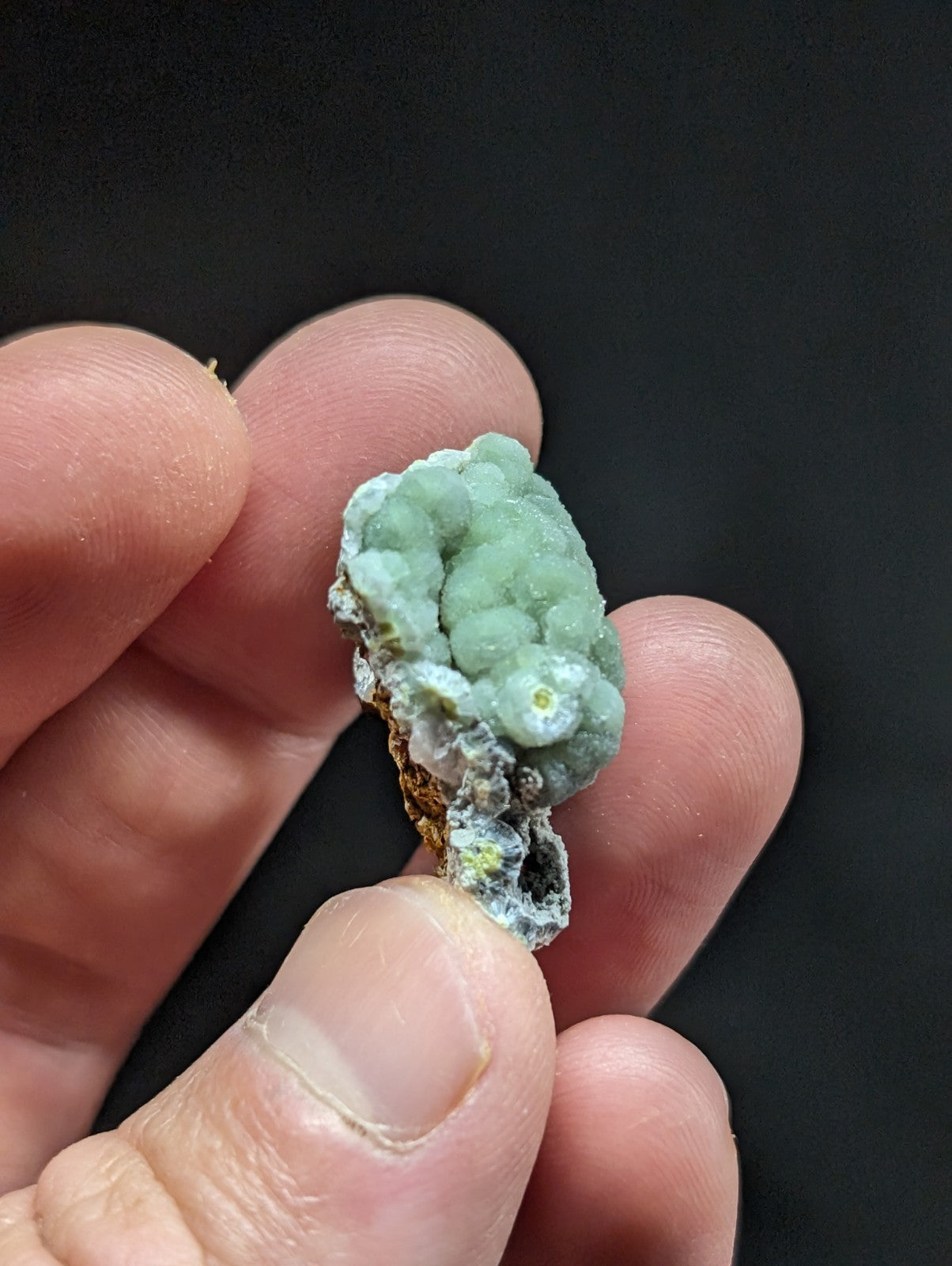 A delicate, light green mineral specimen with a bumpy, brain-like texture and subtle yellowish highlights.