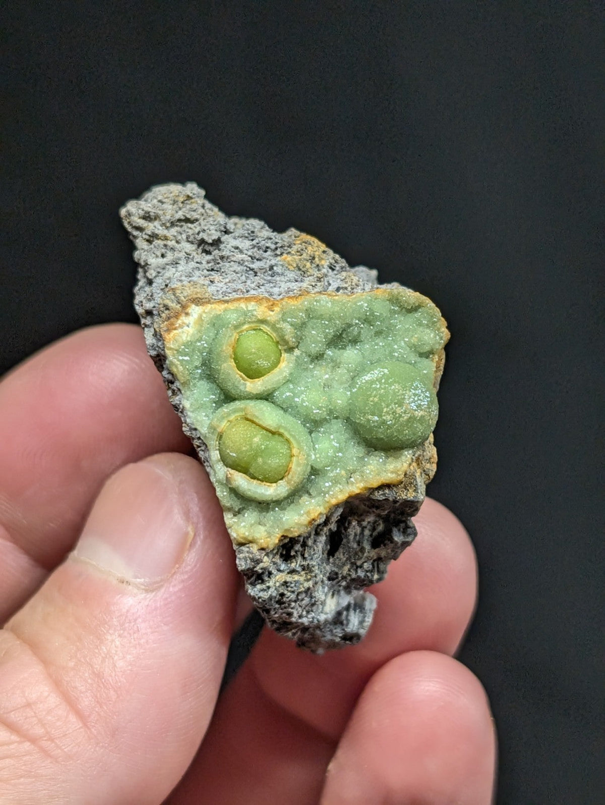A green, textured mineral specimen with rounded, bulbous formations set against a rough gray rock matrix.