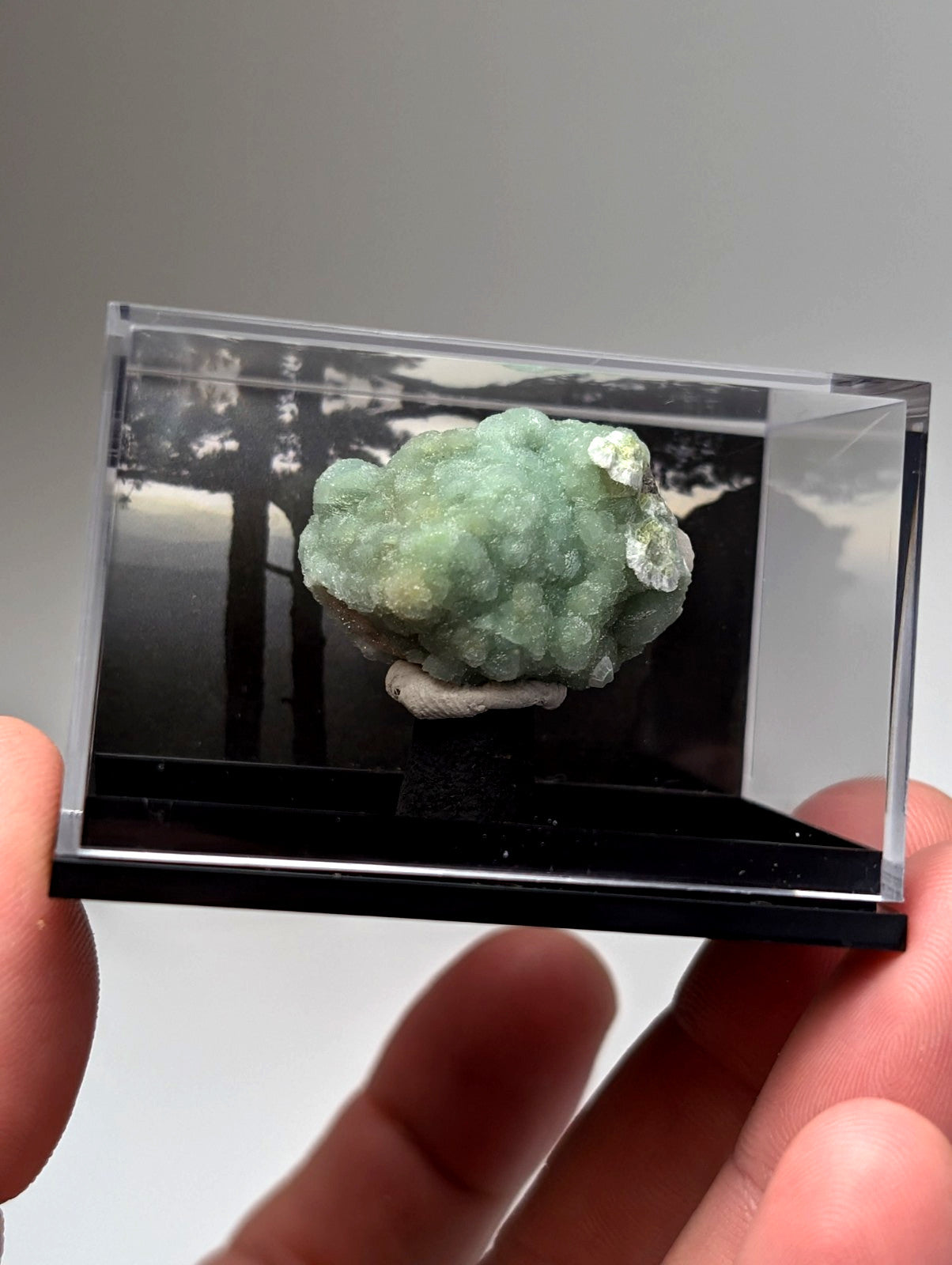 A translucent green wavellite mineral with bumpy clustered texture displayed in a clear acrylic case from mauldin mountain usa