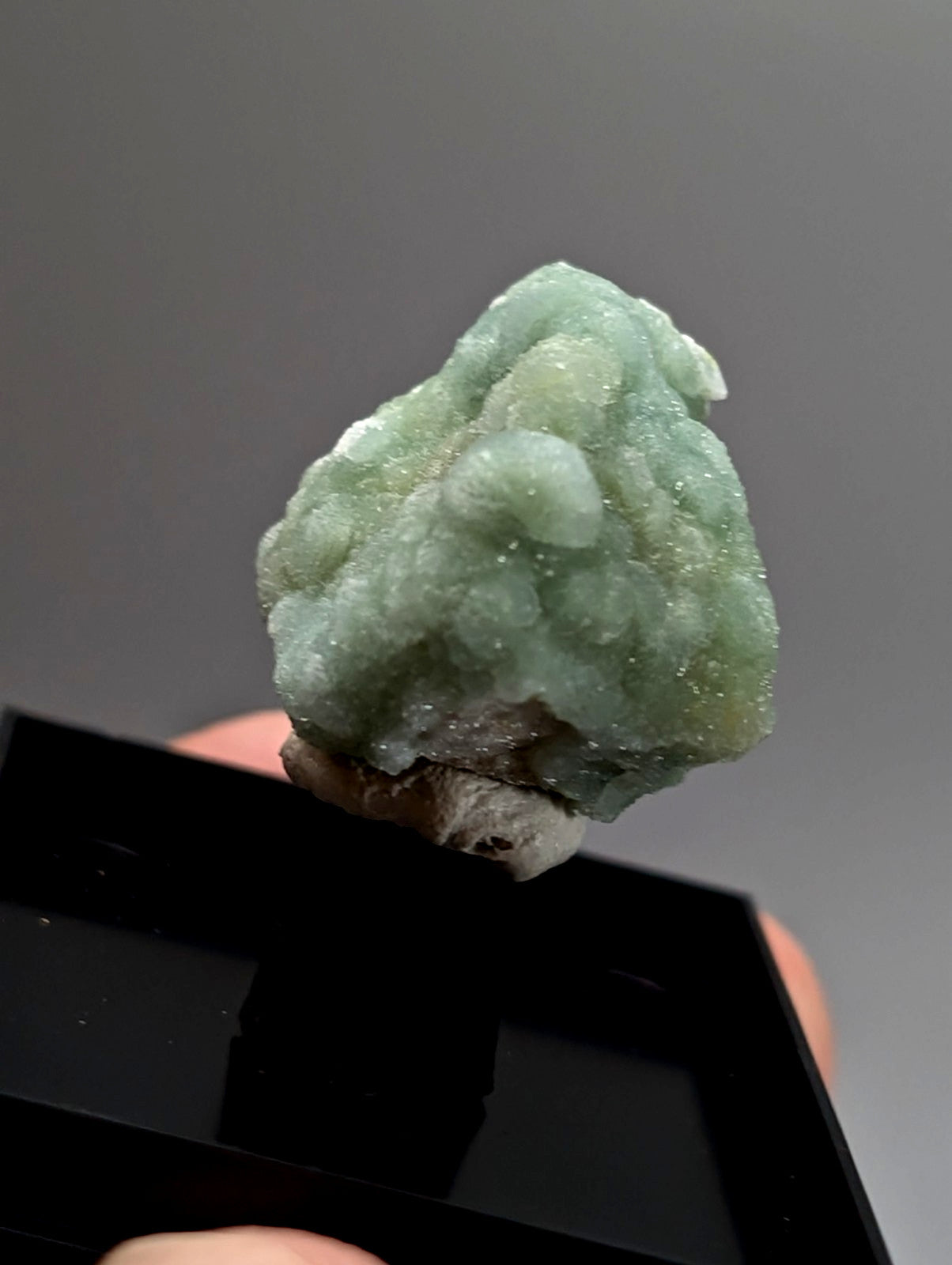 Light green wavellite mineral with crystalline surface and earthy base from mauldin mountain arkansas with case