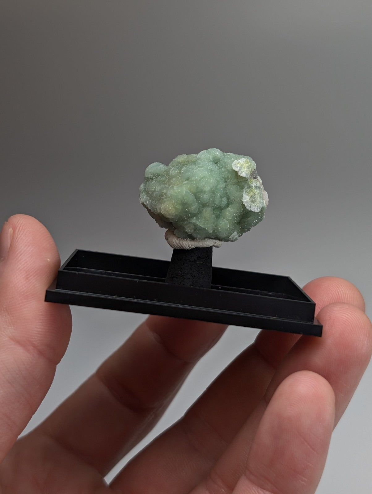 Pale green textured green wavellite mineral with subtle white patches on black stand from mauldin mountain arkansas usa