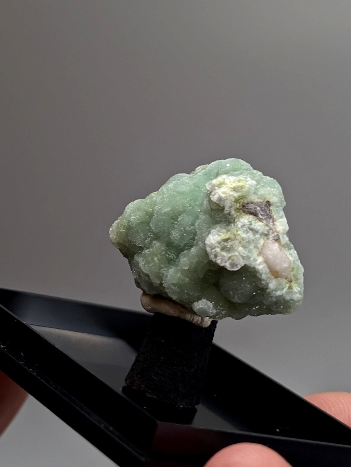 Green wavellite mineral specimen with textured crystalline pale green surface and subtle white veining from Arkansas