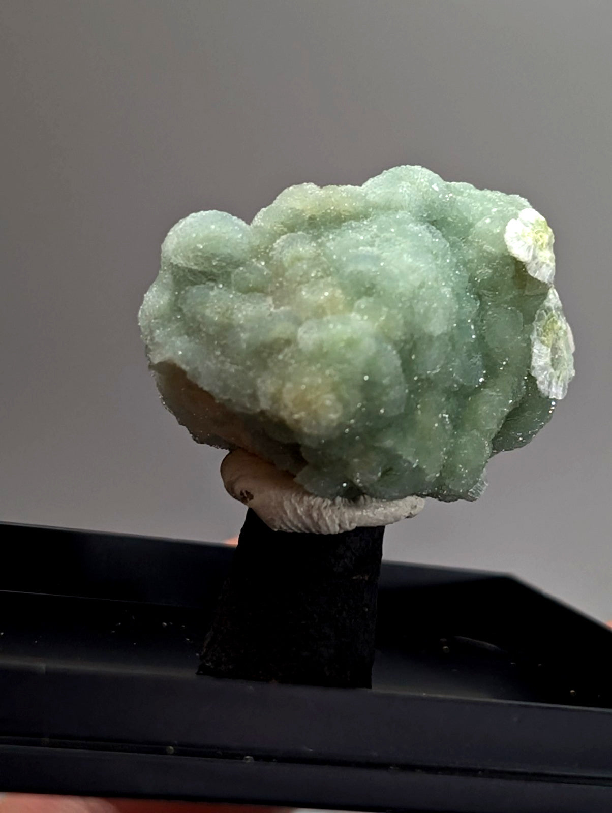 Green wavellite mineral specimen with pale green crystalline brain-like texture on black stand from mauldin mountain usa