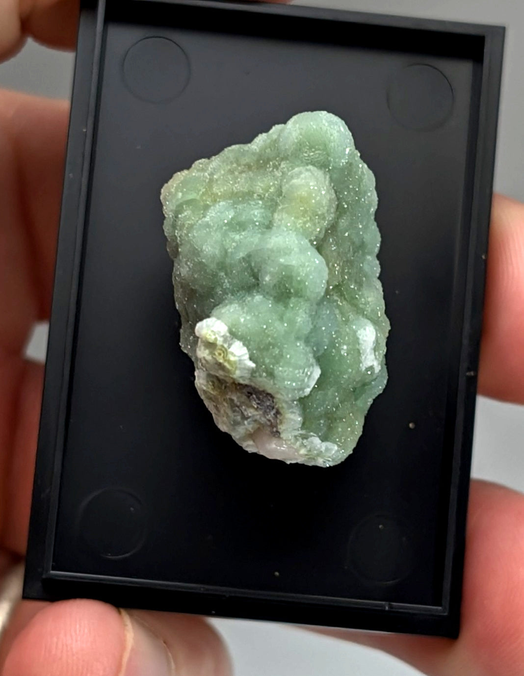 Green wavellite mineral specimen with translucent light green clusters and white crystalline patches from Arkansas USA in case