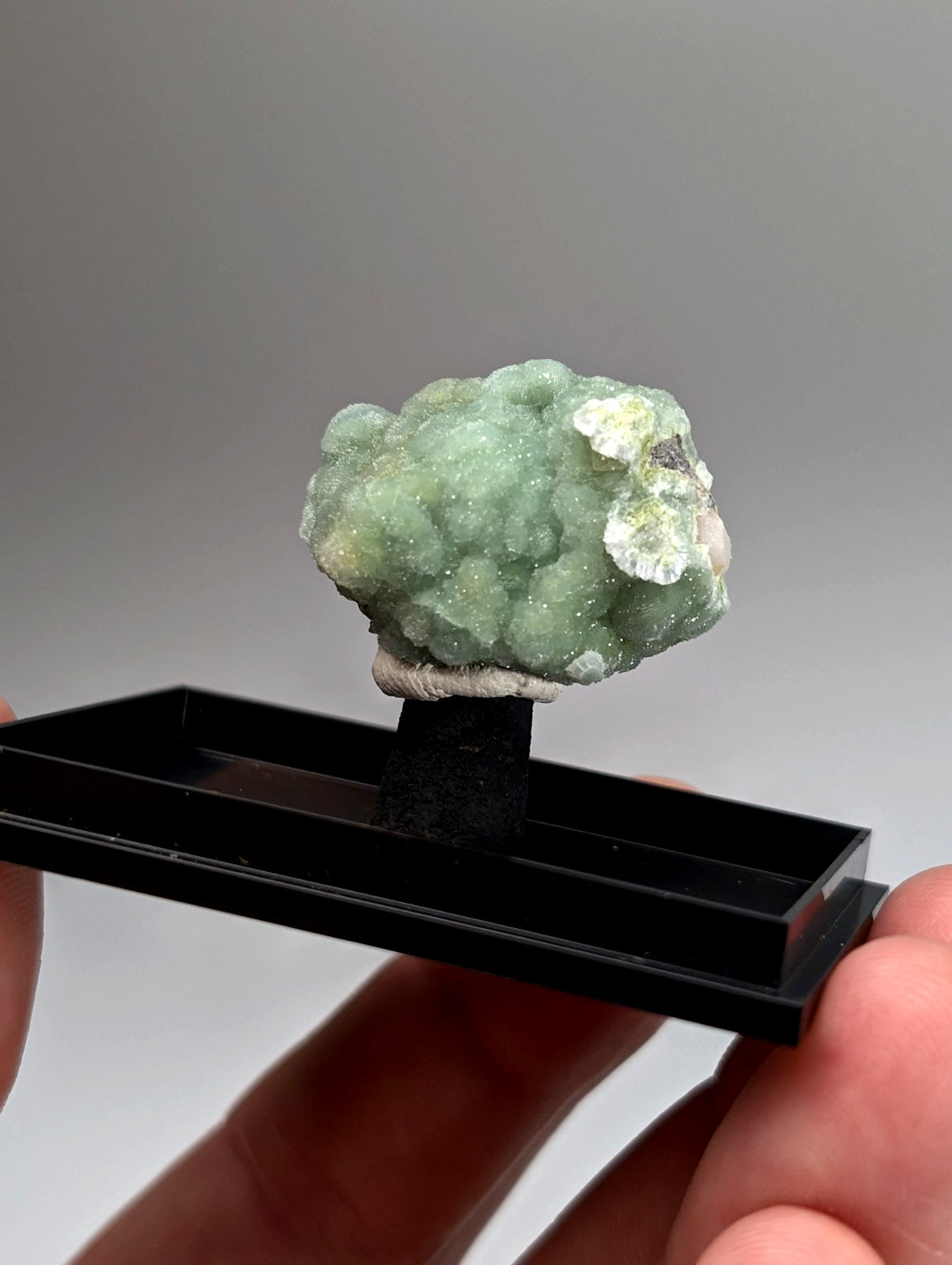 Green wavellite mineral specimen with light green texture and white crystalline patches on black stand from mauldin mountain