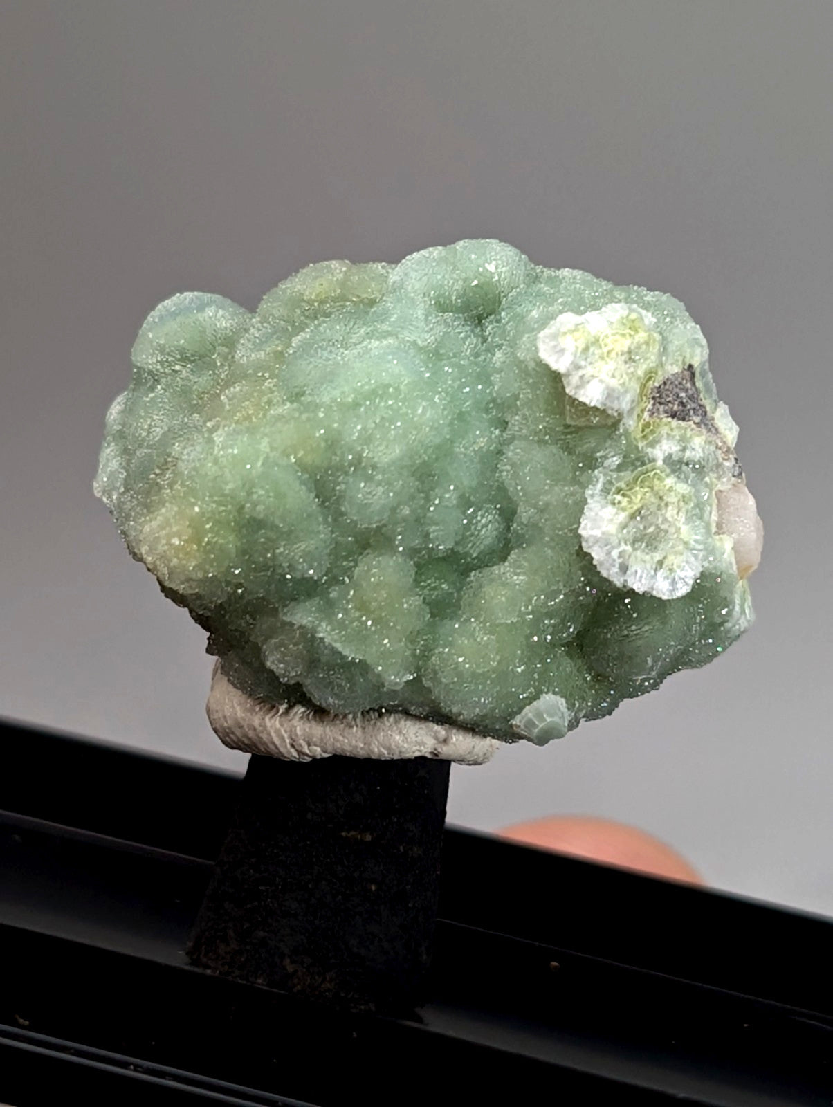 Green wavellite mineral specimen from Mauldin Mountain Arkansas with textured light green bubbly surface and white crystals