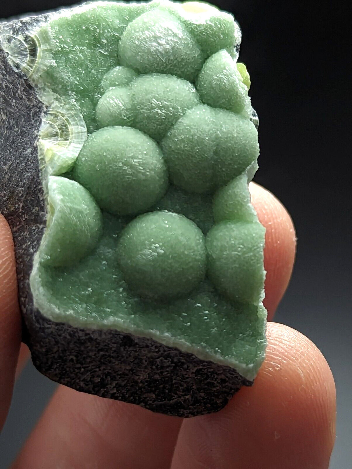Green Wavellite - Fantastic Old Stock - Mauldin Mountain Arkansas Vibrant - Collectibles:Rocks Fossils &