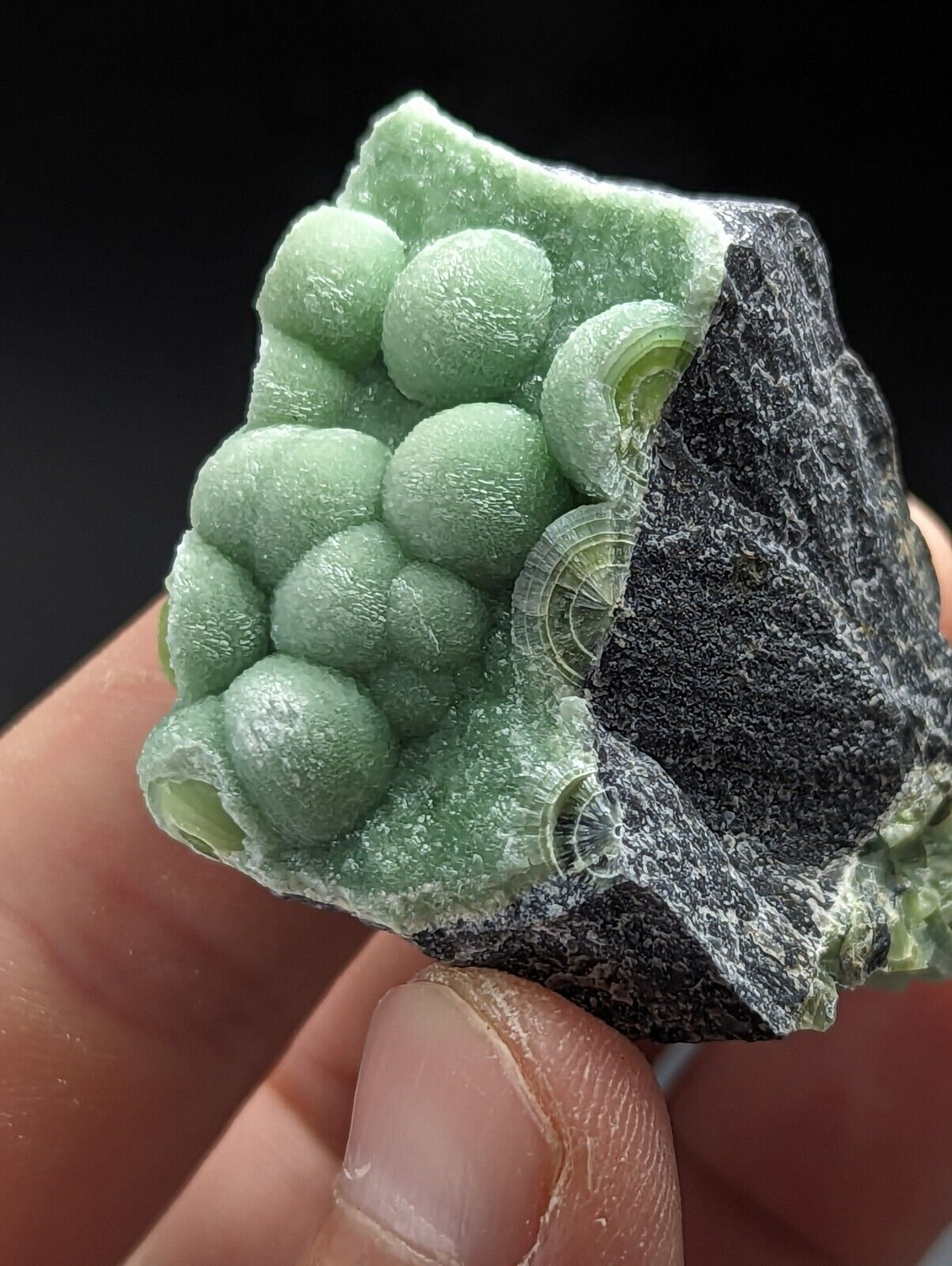 Green Wavellite - Fantastic Old Stock - Mauldin Mountain Arkansas Vibrant - Collectibles:Rocks Fossils &