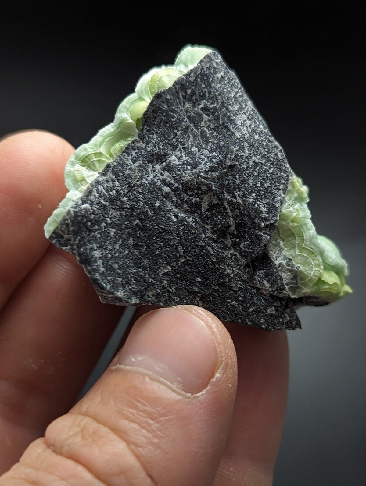 Green Wavellite - Fantastic Old Stock - Mauldin Mountain Arkansas Vibrant - Collectibles:Rocks Fossils &