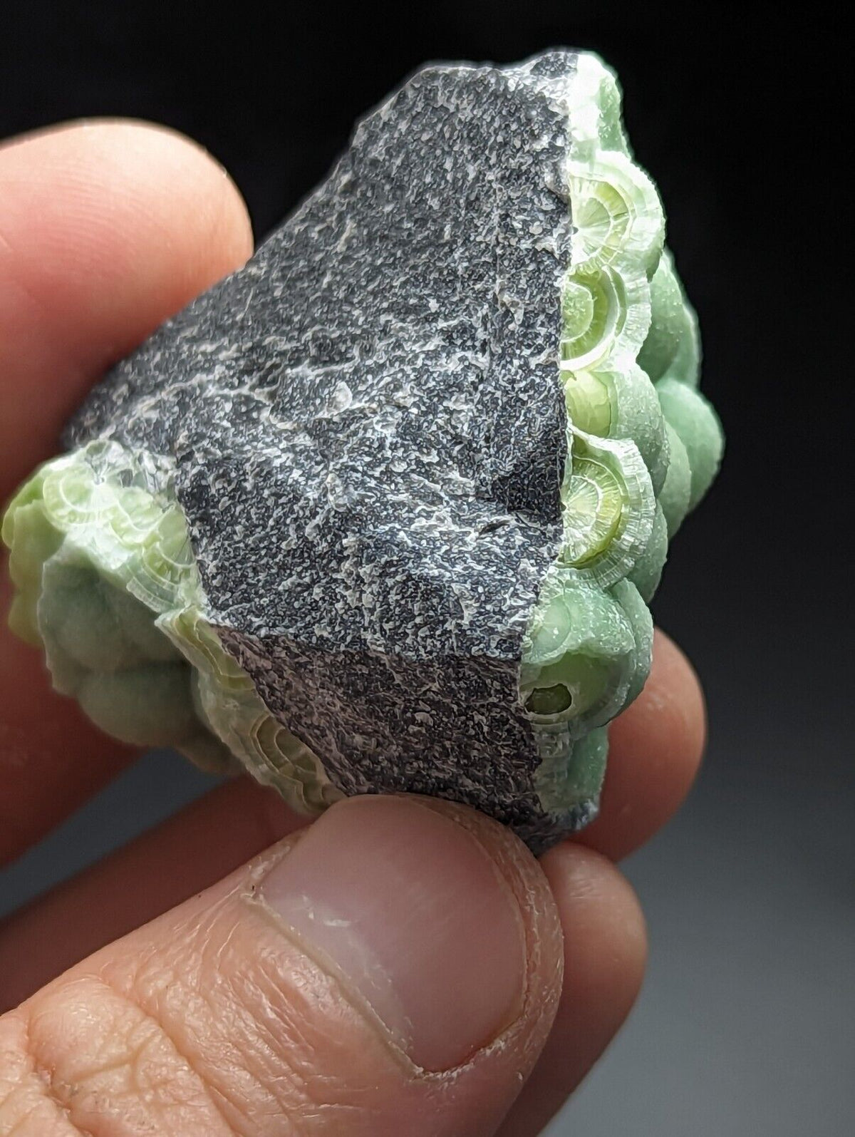 Green Wavellite - Fantastic Old Stock - Mauldin Mountain Arkansas Vibrant - Collectibles:Rocks Fossils &