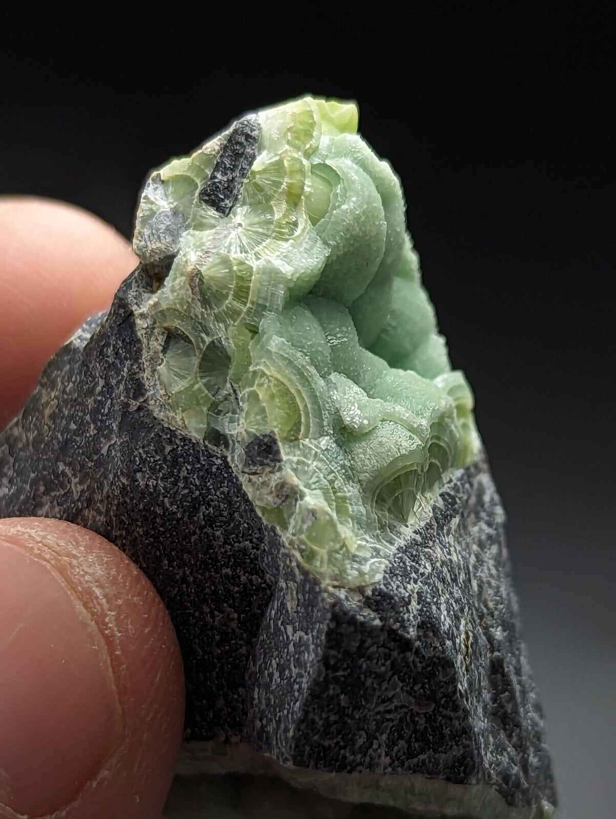 Green Wavellite - Fantastic Old Stock - Mauldin Mountain Arkansas Vibrant - Collectibles:Rocks Fossils &