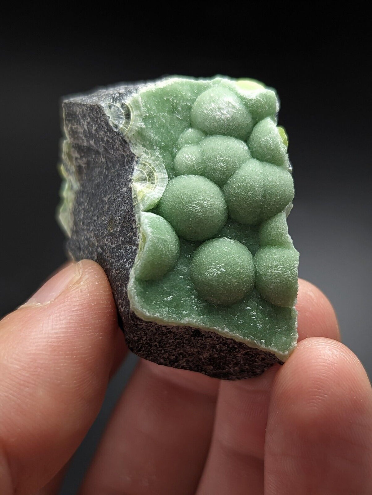 Green Wavellite - Fantastic Old Stock - Mauldin Mountain Arkansas Vibrant - Collectibles:Rocks Fossils &