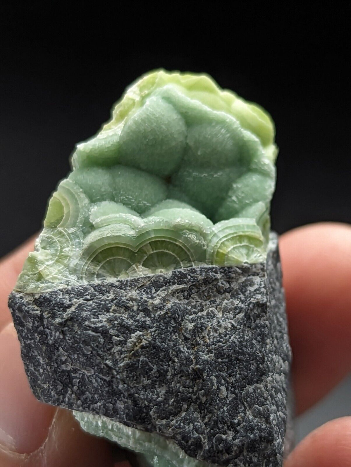 Green Wavellite - Fantastic Old Stock - Mauldin Mountain Arkansas Vibrant - Collectibles:Rocks Fossils &