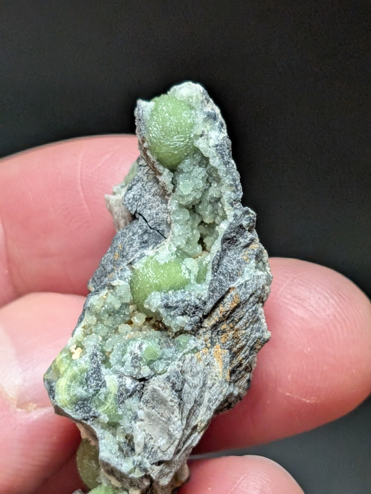 A hand holds a rough, grayish rock specimen featuring several smooth, translucent green spherical crystals embedded within its surface.
