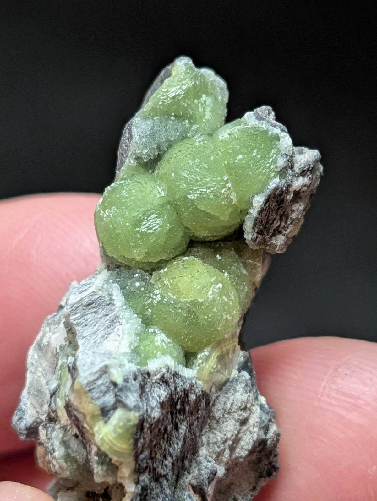 A cluster of translucent green gemstones nestled within a rugged, grayish rock matrix.