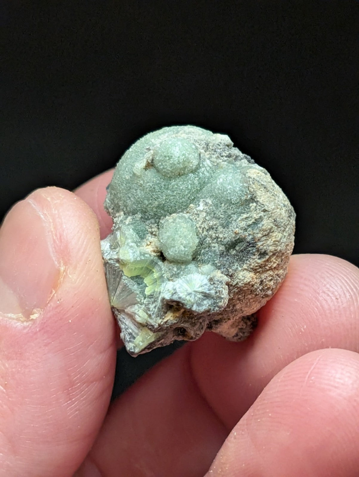 A textured, greenish mineral specimen with a rough surface and small rounded protrusions.