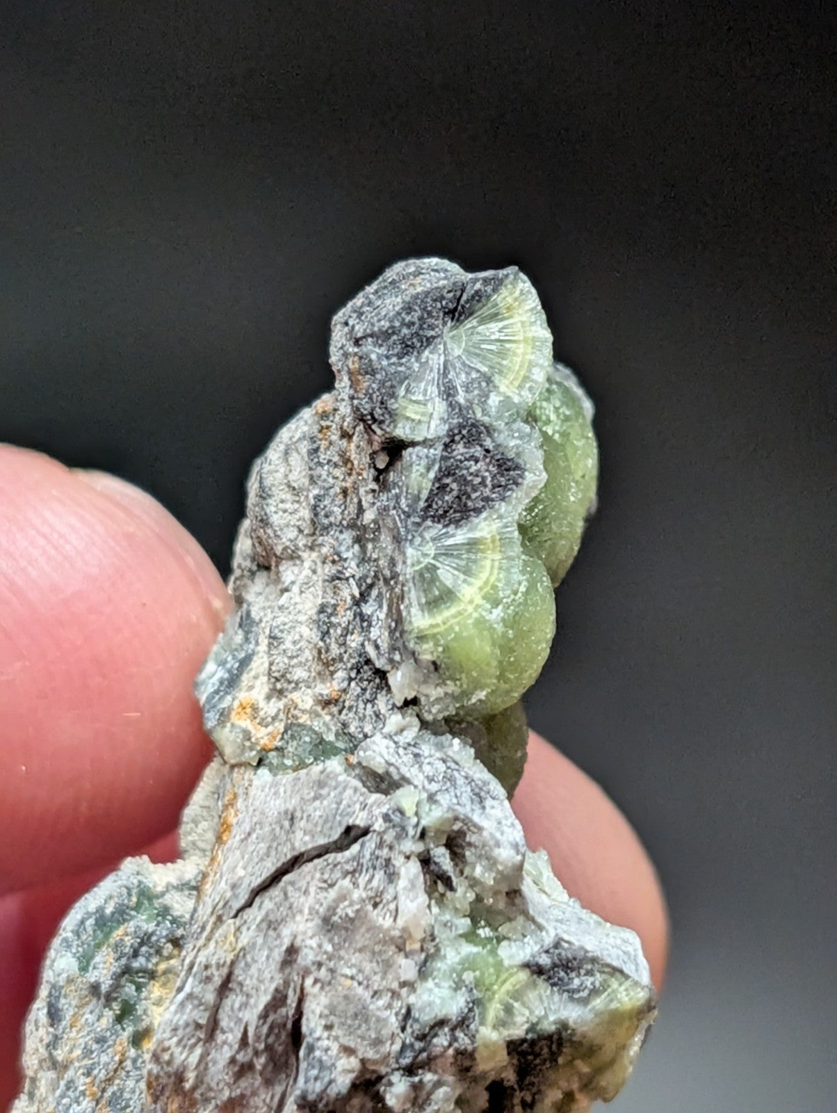 A green, translucent calcite crystal with radial striations embedded in a rough gray rock matrix.