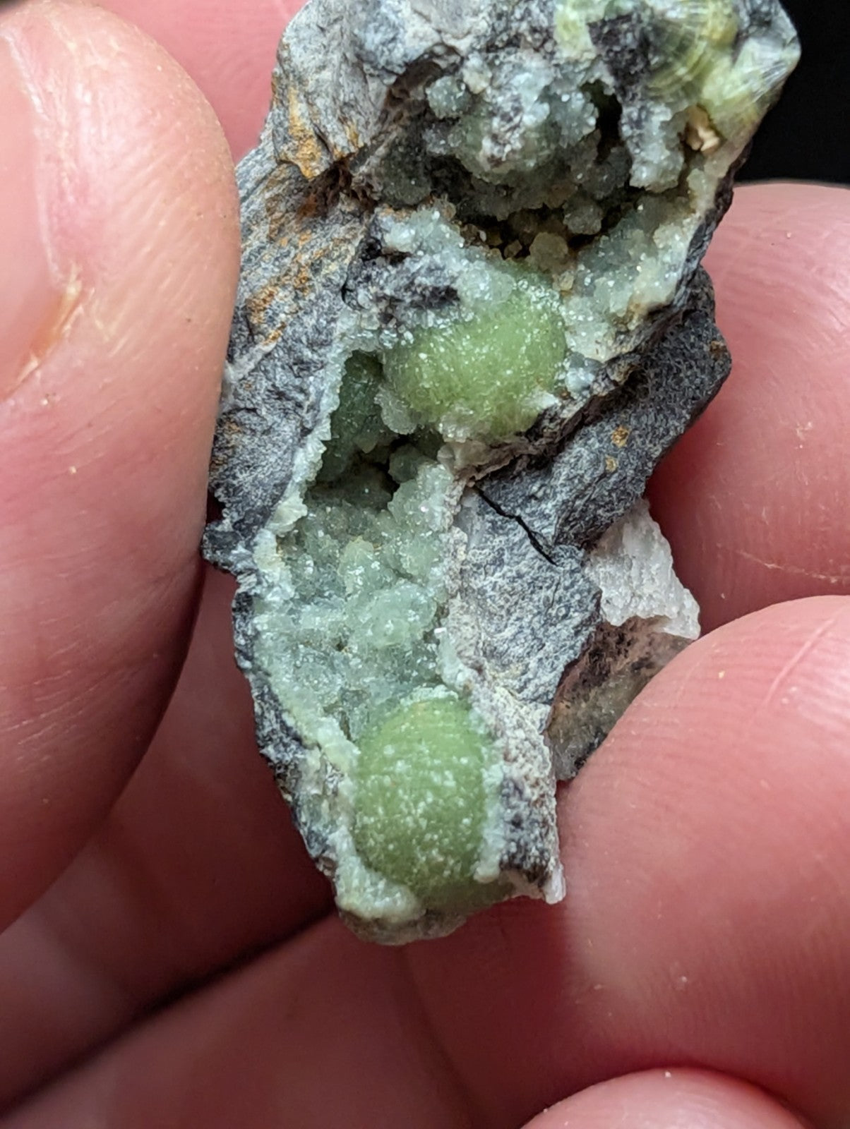 A hand holds a rough, gray rock specimen featuring two prominent greenish-yellow spherical crystals embedded within its matrix.