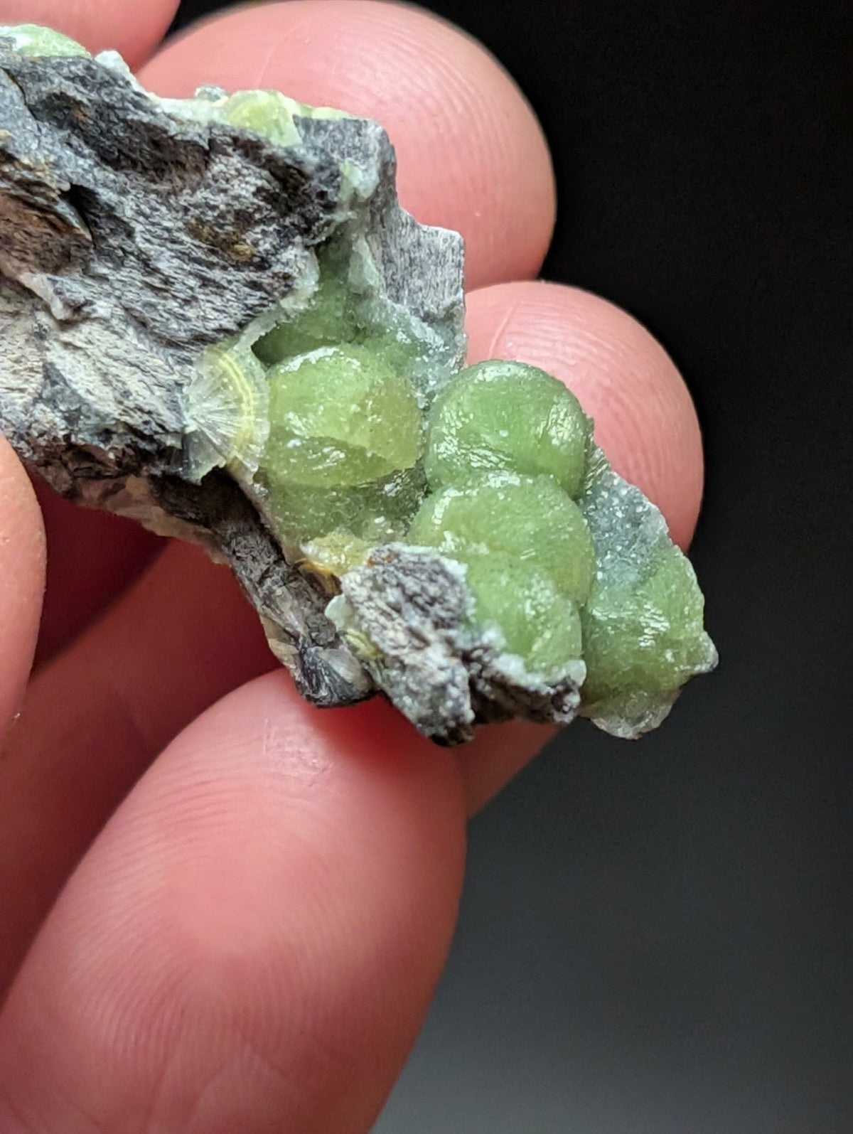 A cluster of translucent, light green spherical crystals nestled within a rough gray rock matrix.