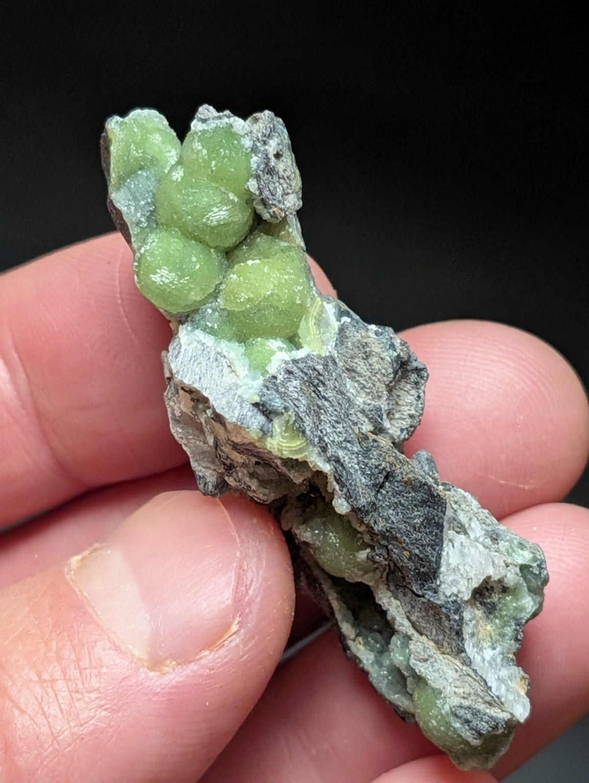 A cluster of translucent green gemstones nestled within a rough, grayish rock matrix.