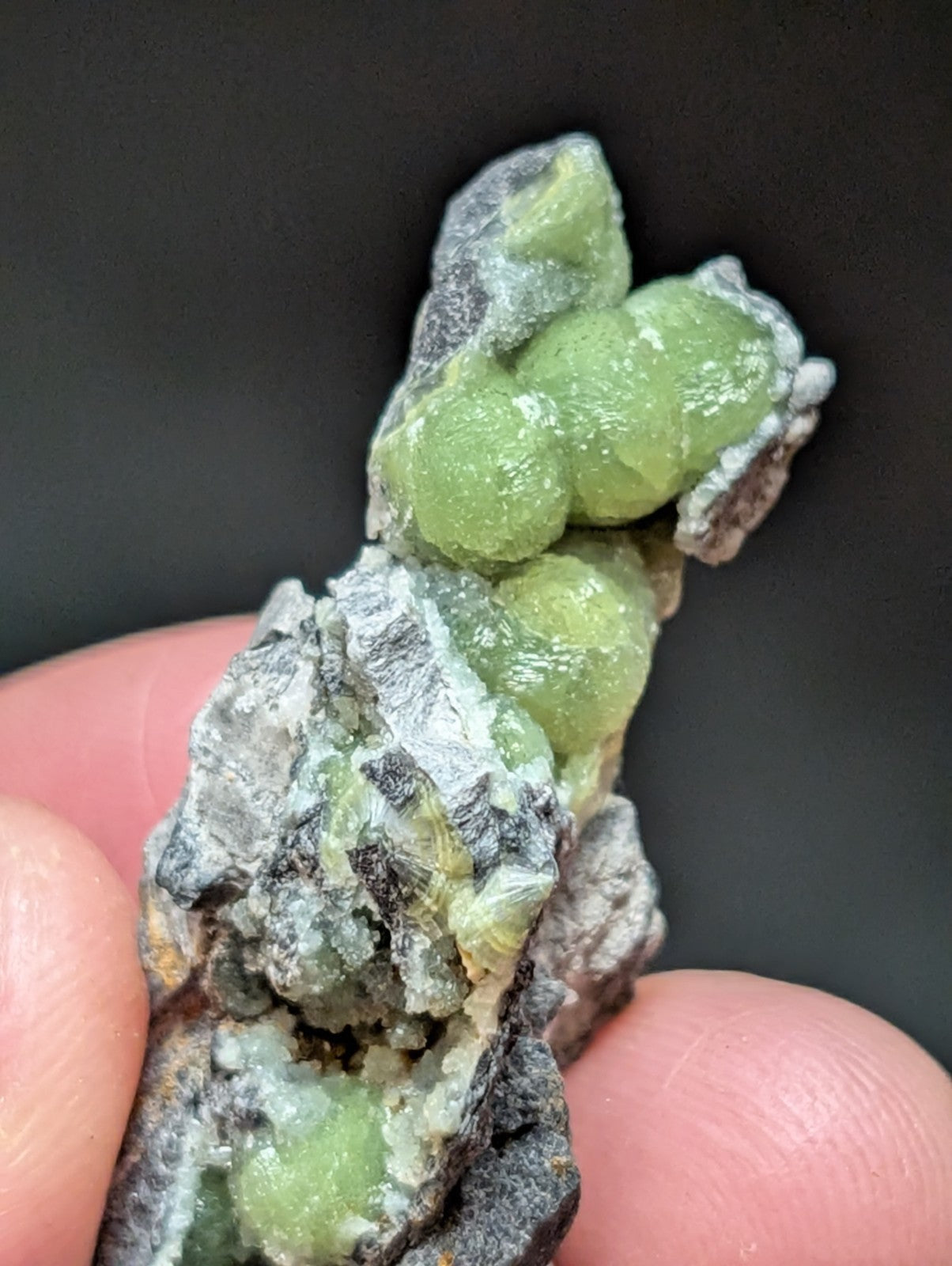 A cluster of translucent green gemstones nestled within a rough, grayish rock matrix.