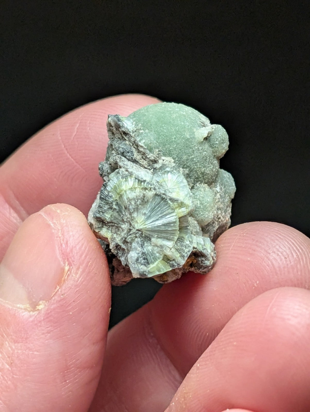 A green, rough-textured mineral specimen with a cluster of translucent, fan-shaped crystals.