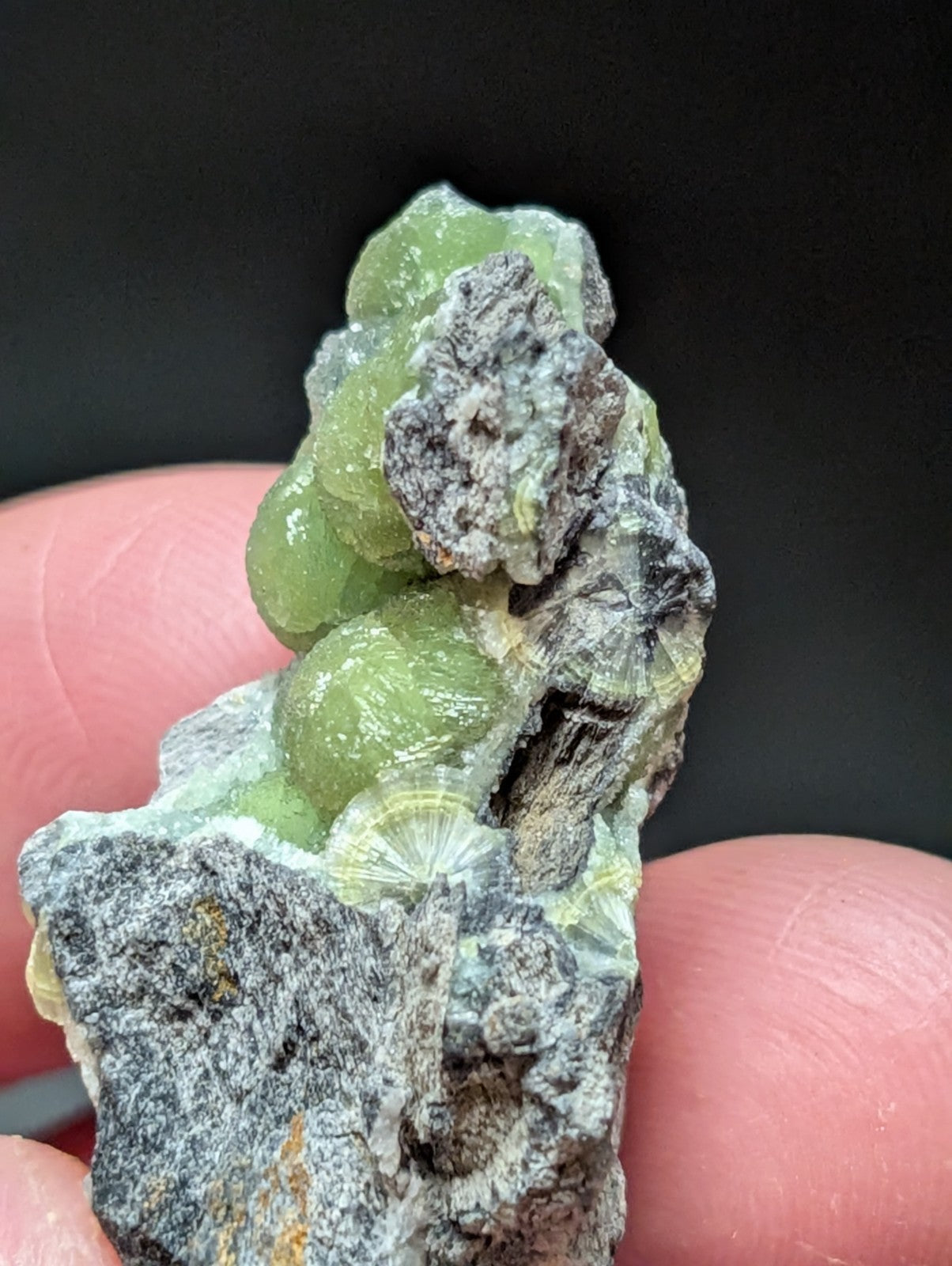 A cluster of translucent green botryoidal malachite crystals growing from a dark gray, textured rock matrix.